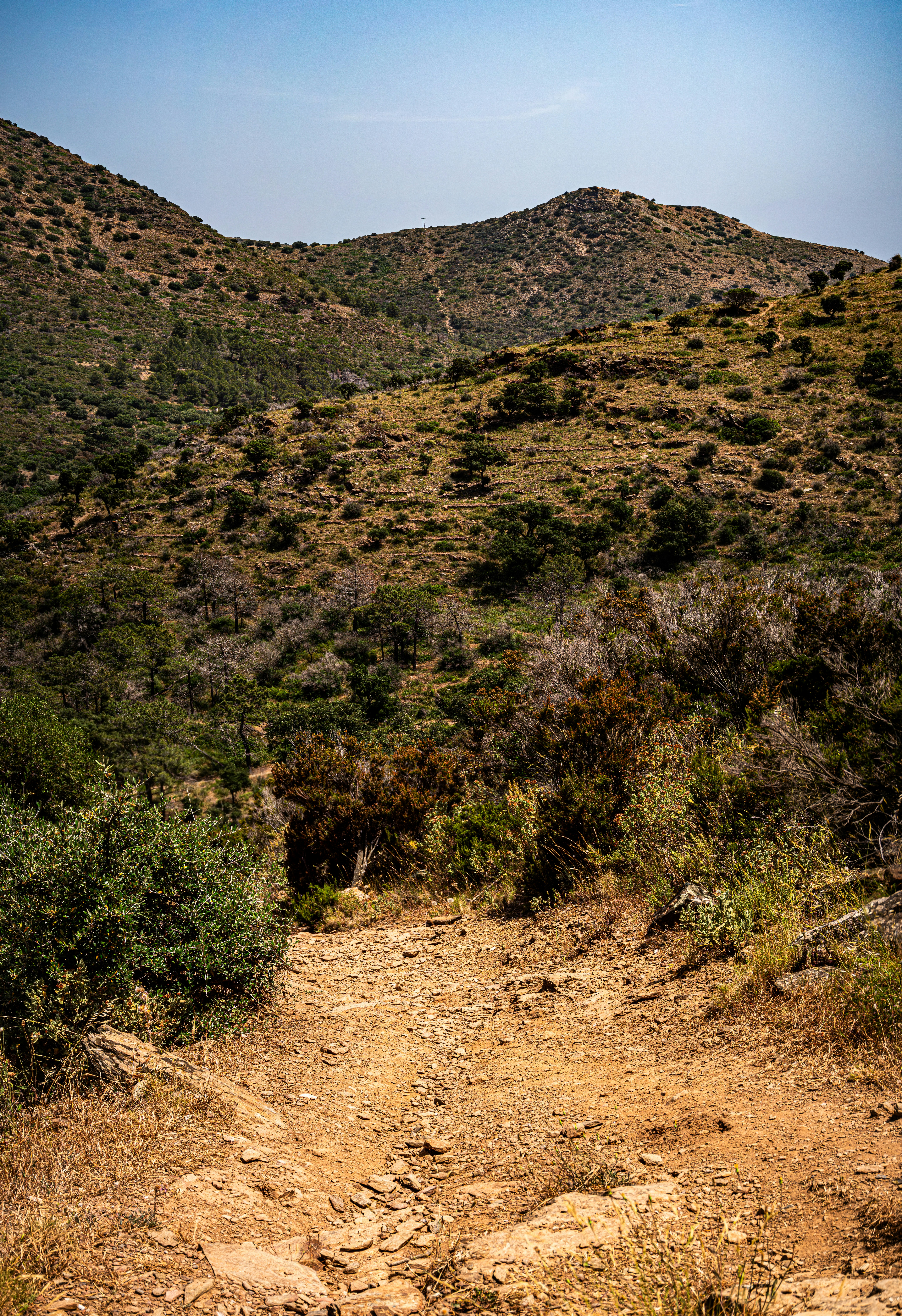 Photo by poli_graphy