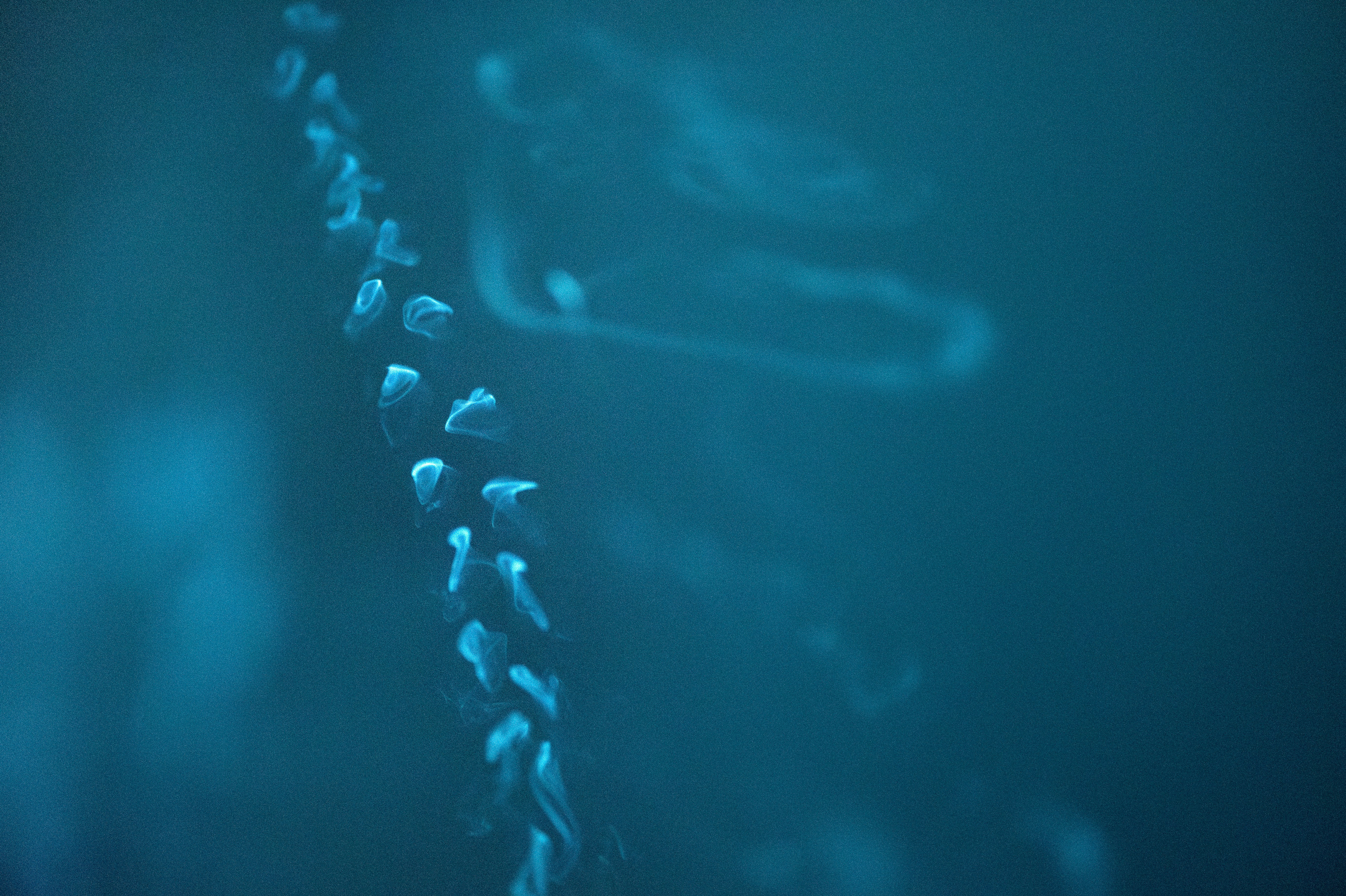 Photo by marekpiwnicki