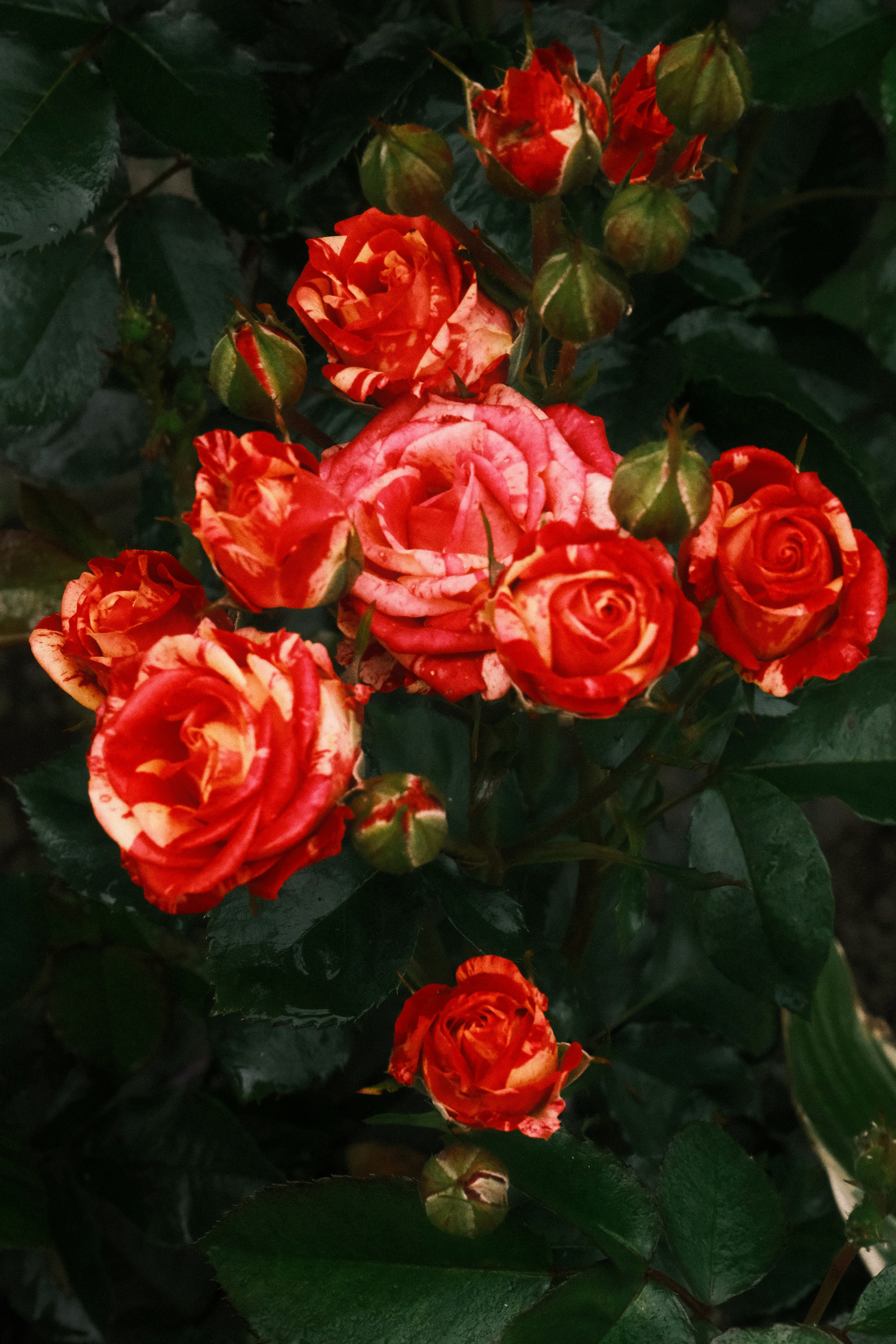 Photo by tatianarudneva