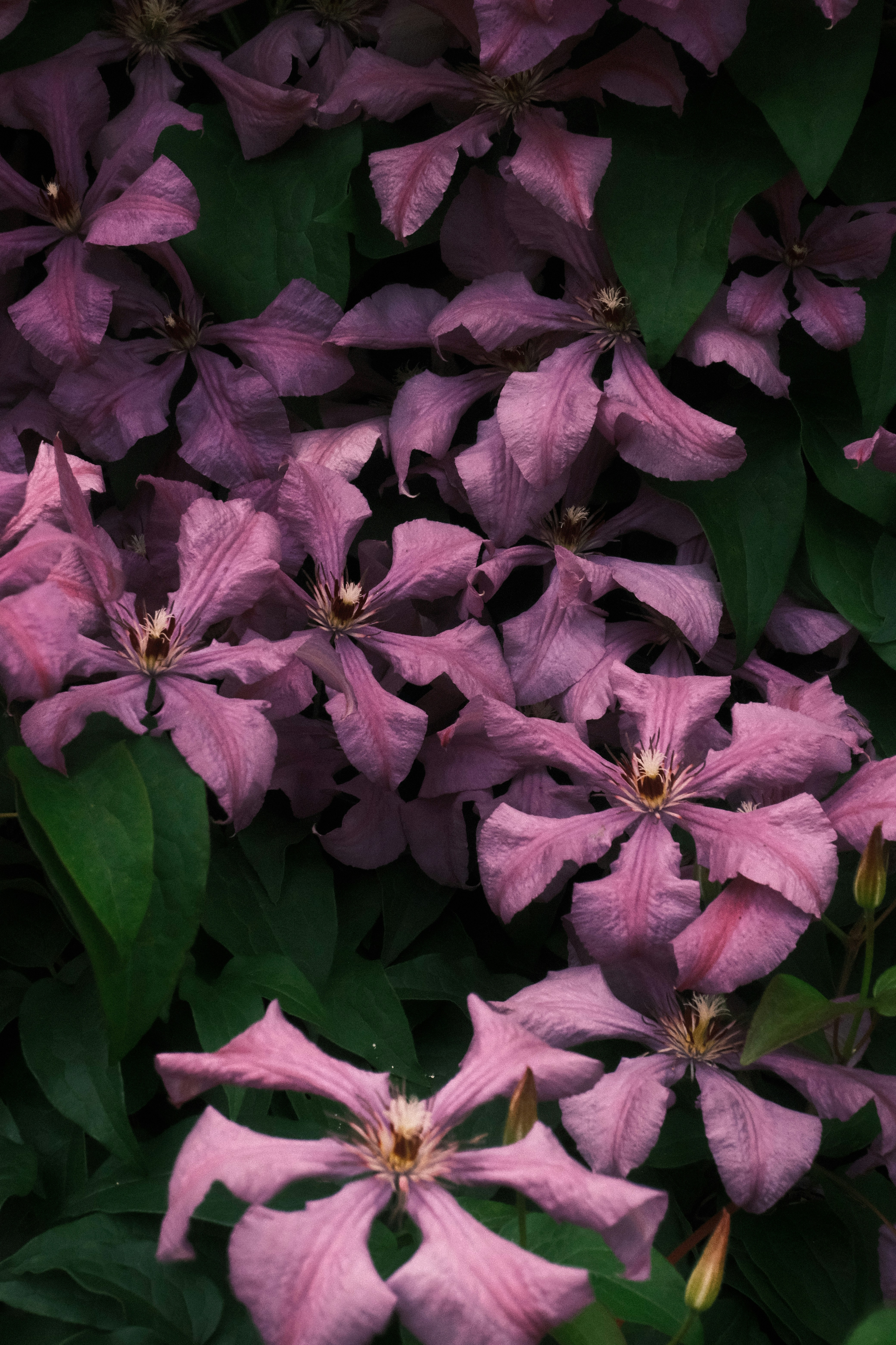 Photo by tatianarudneva