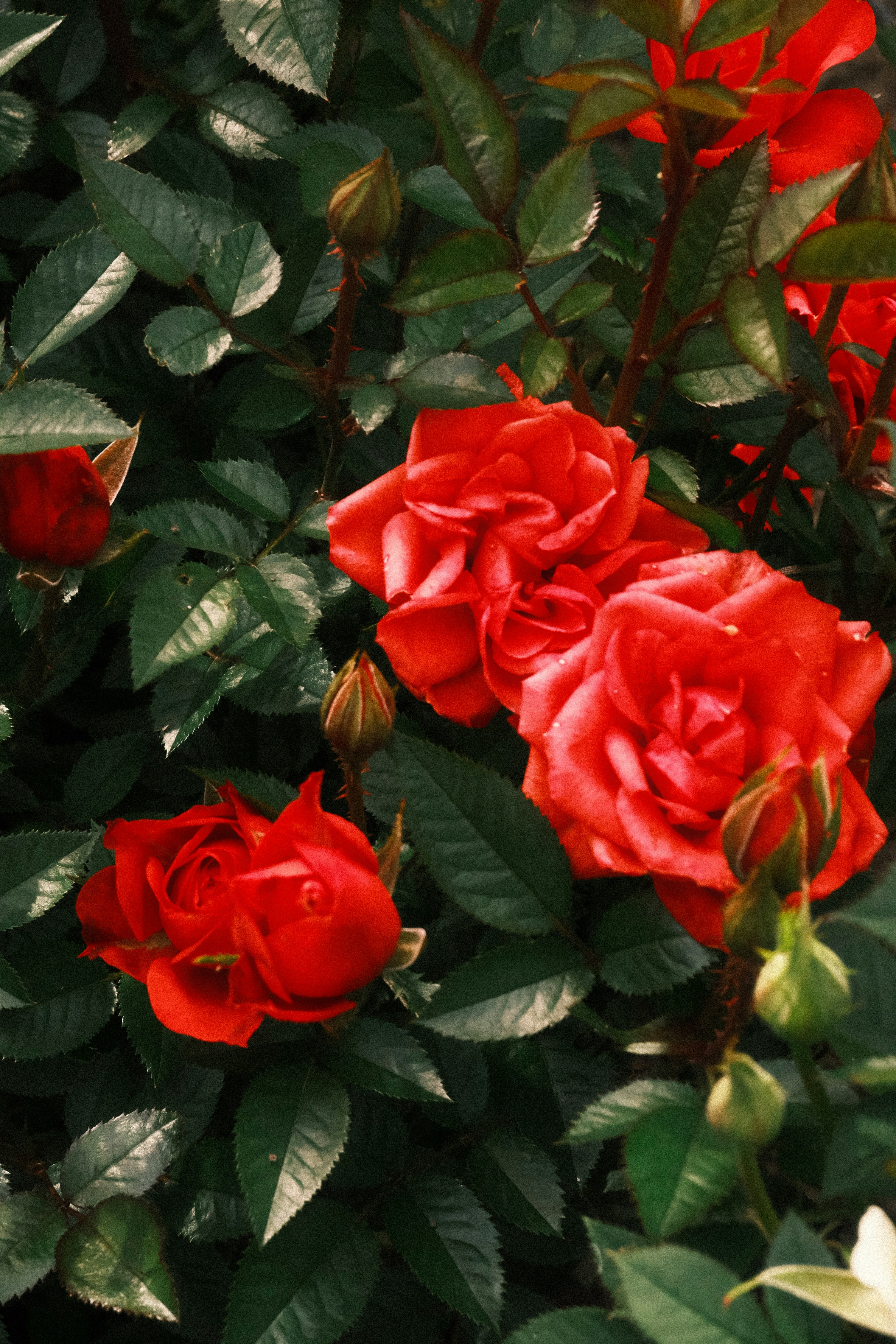 Photo by tatianarudneva