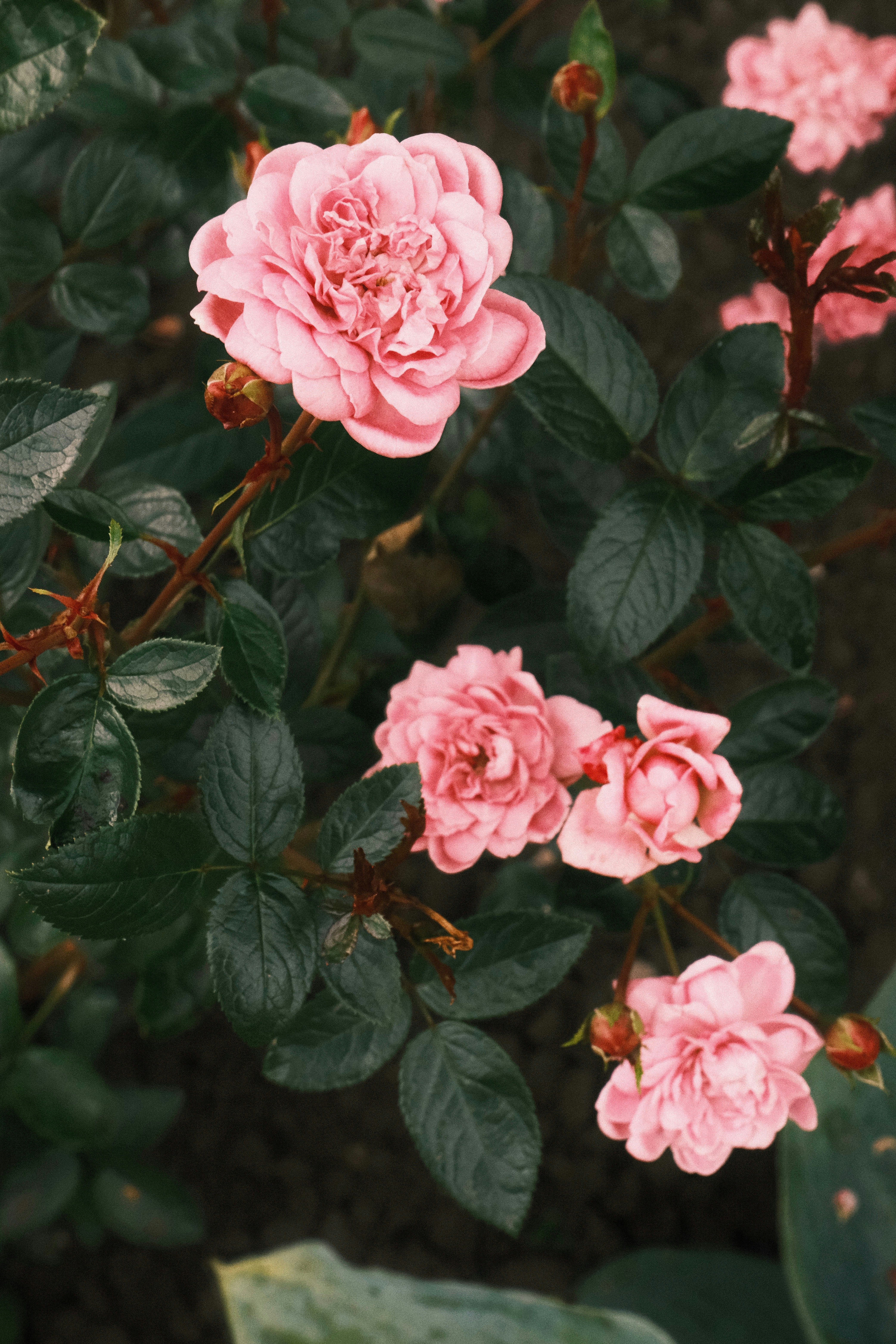 Photo by tatianarudneva