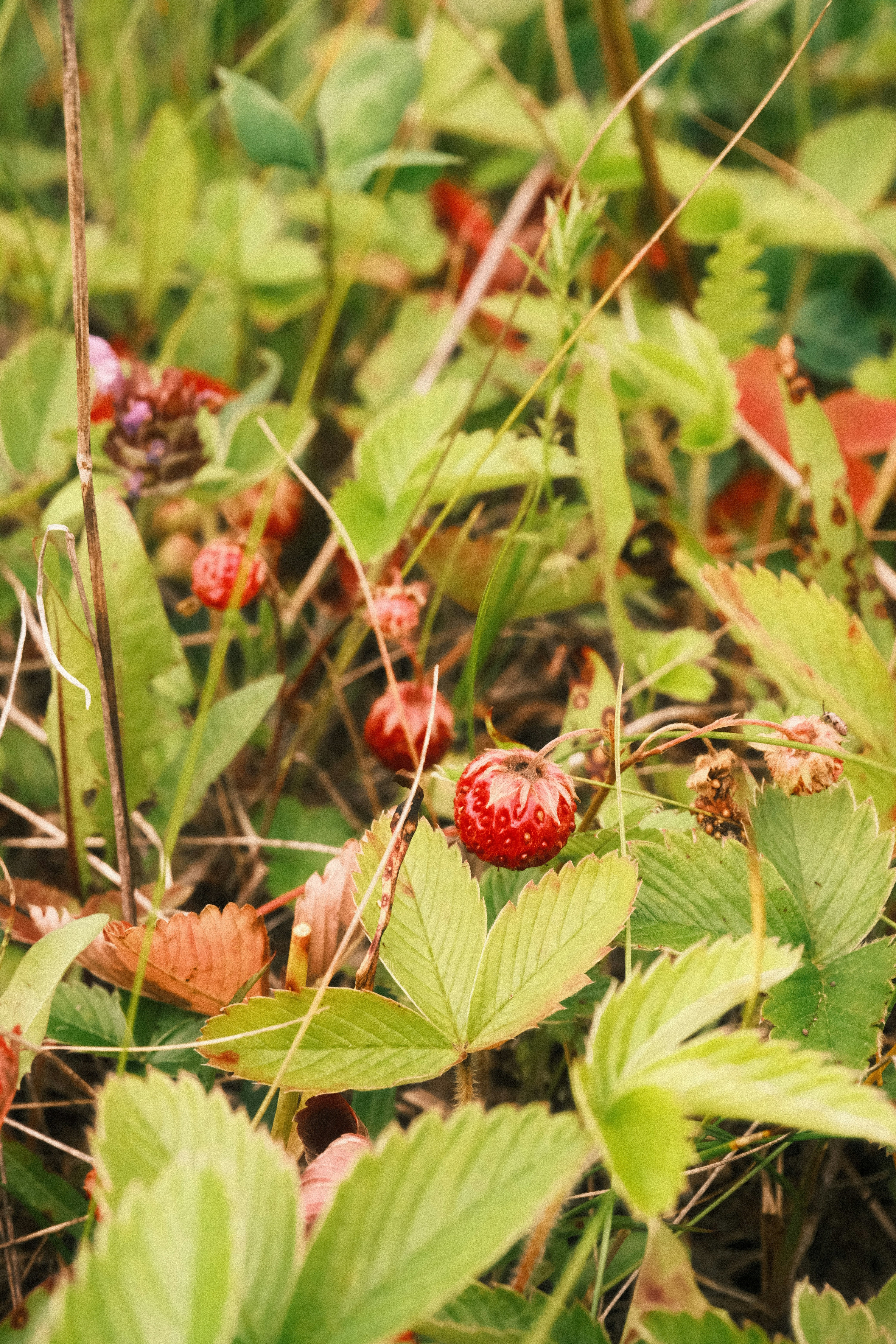 Photo by tatianarudneva