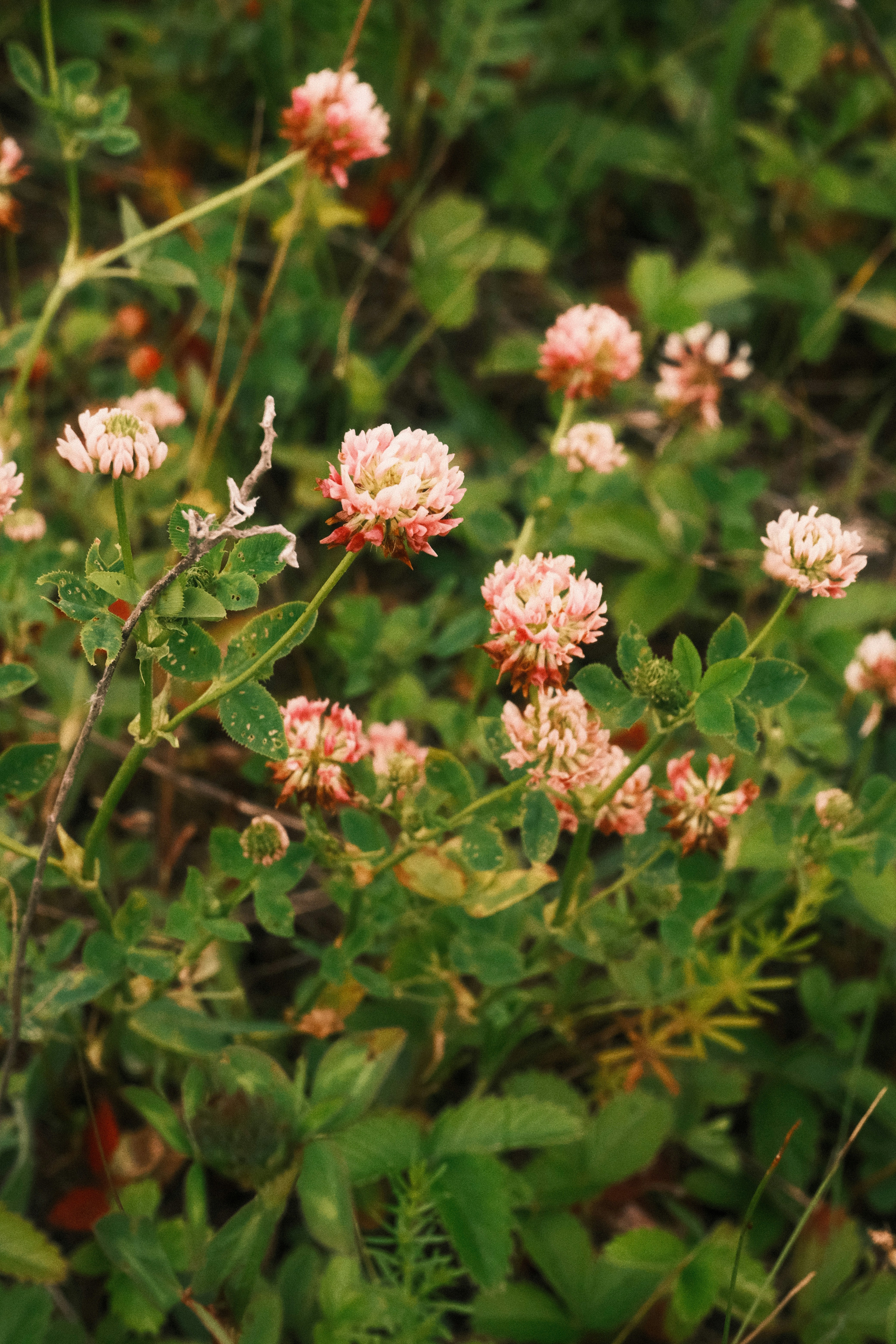 Photo by tatianarudneva