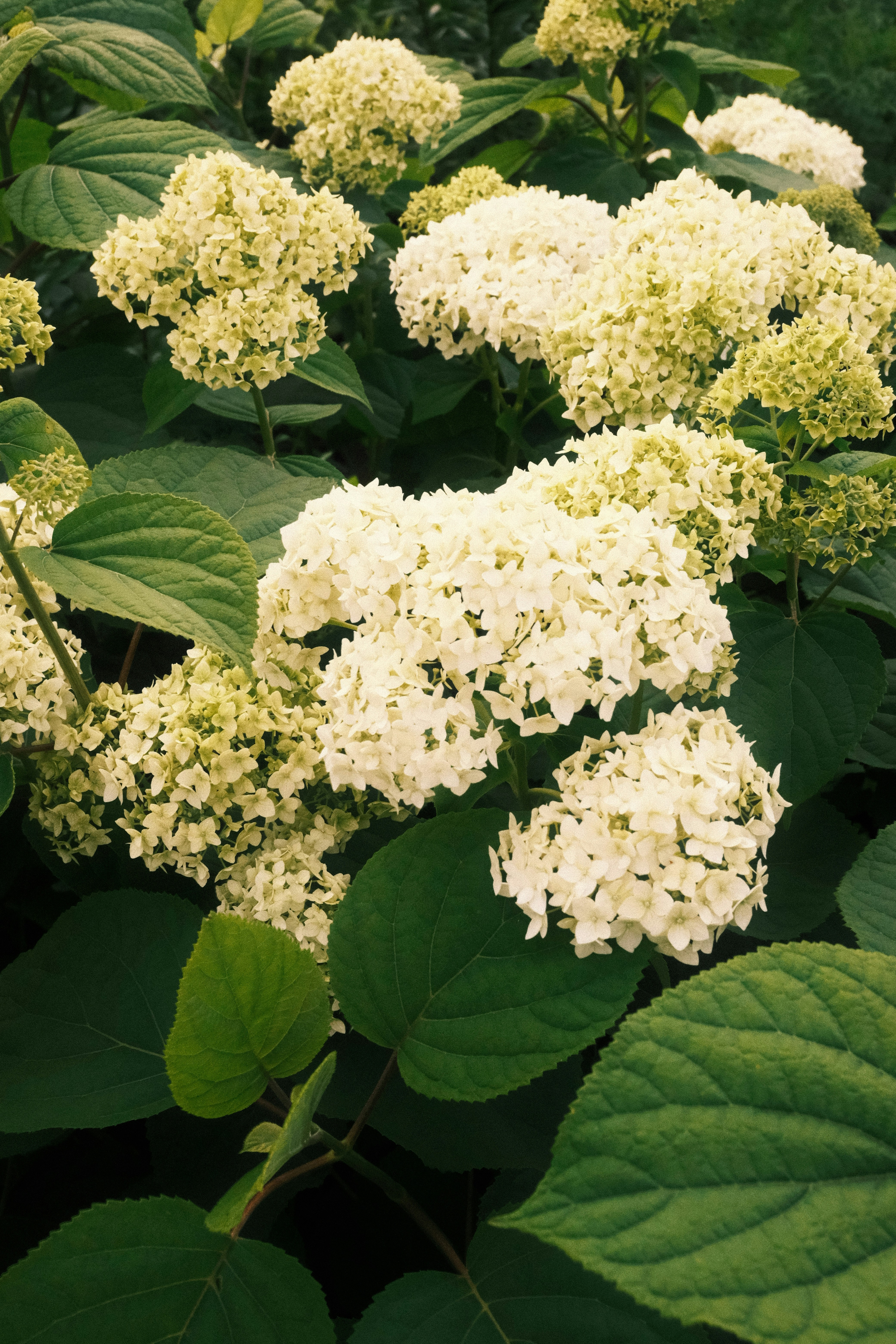 Photo by tatianarudneva