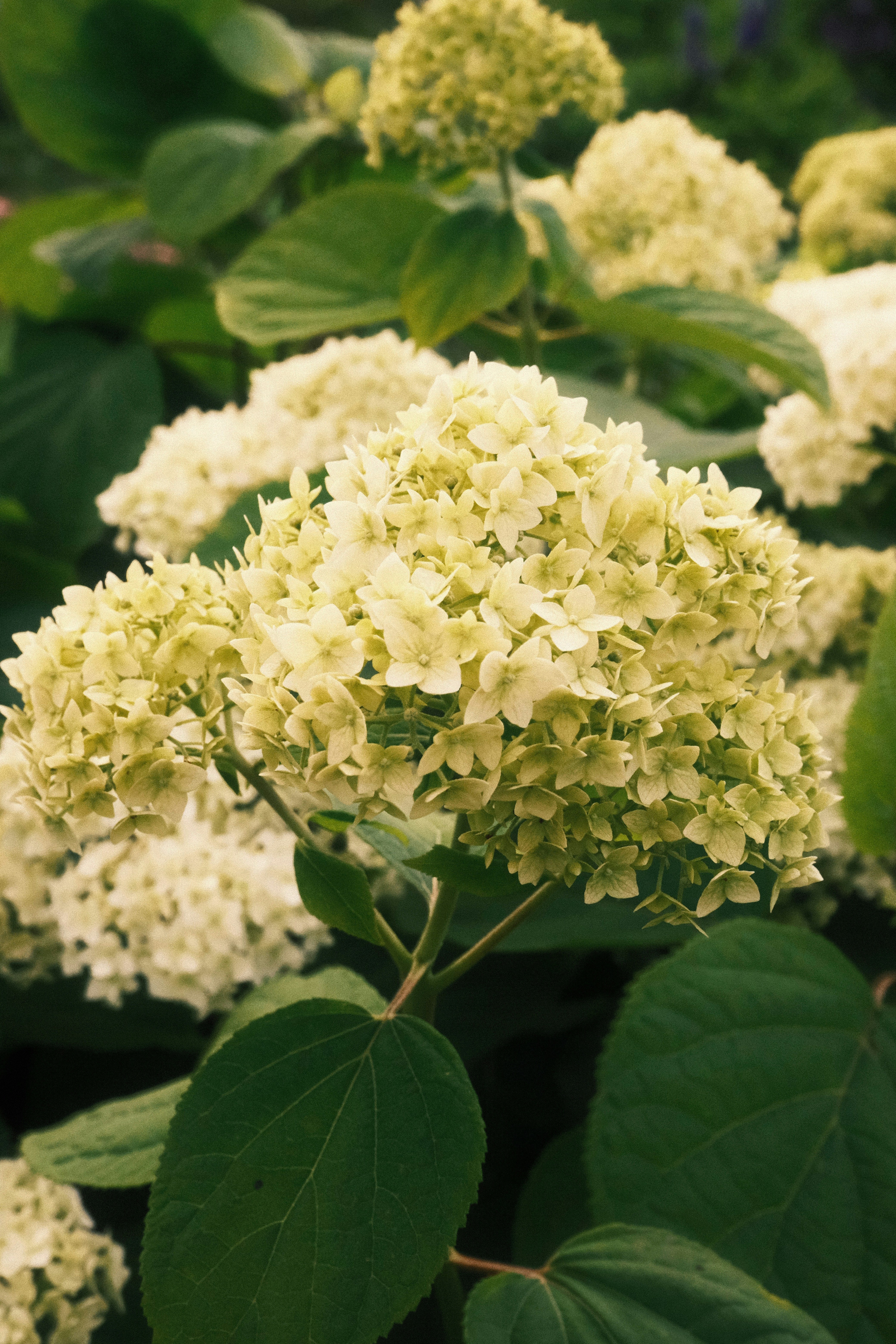 Photo by tatianarudneva