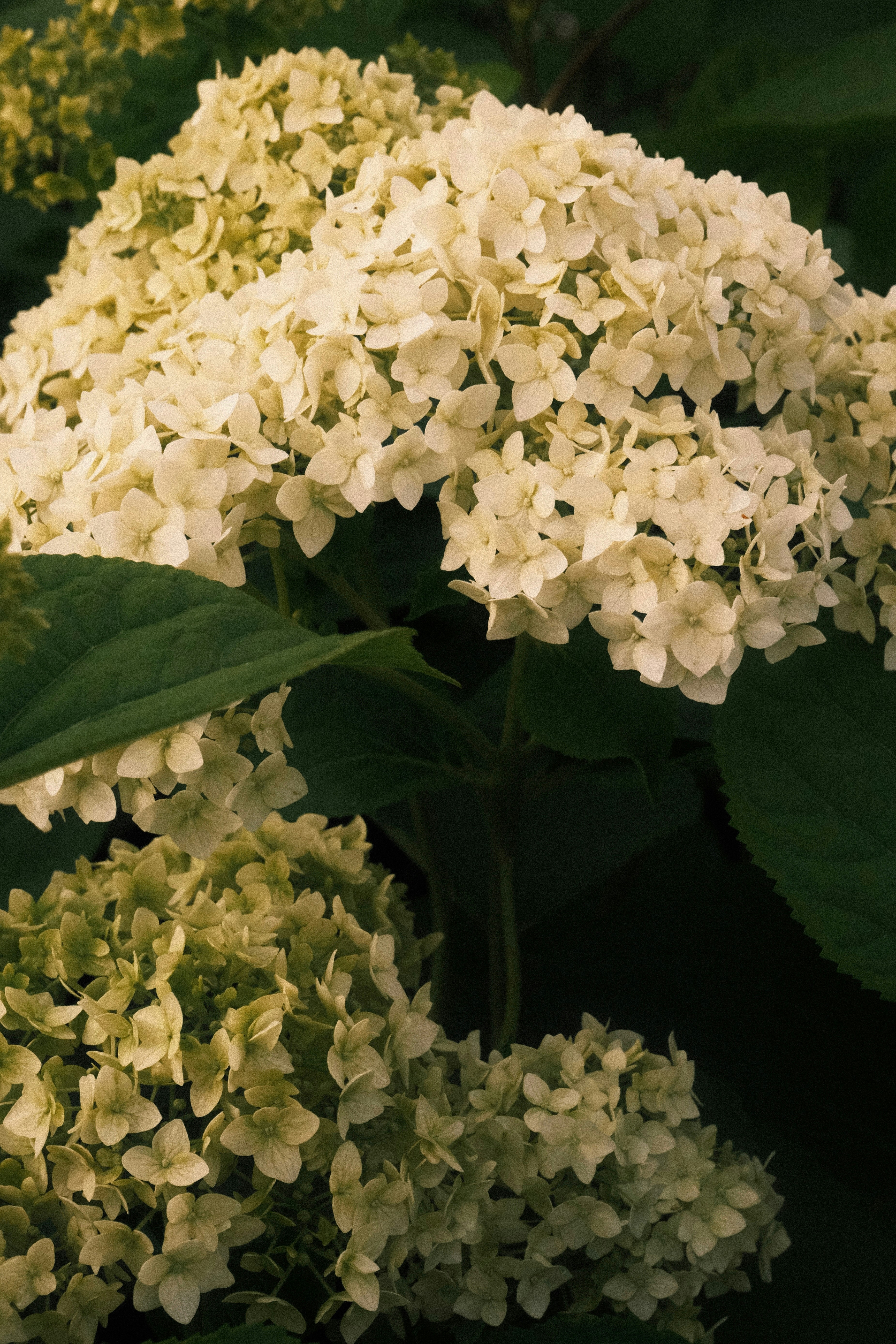 Photo by tatianarudneva