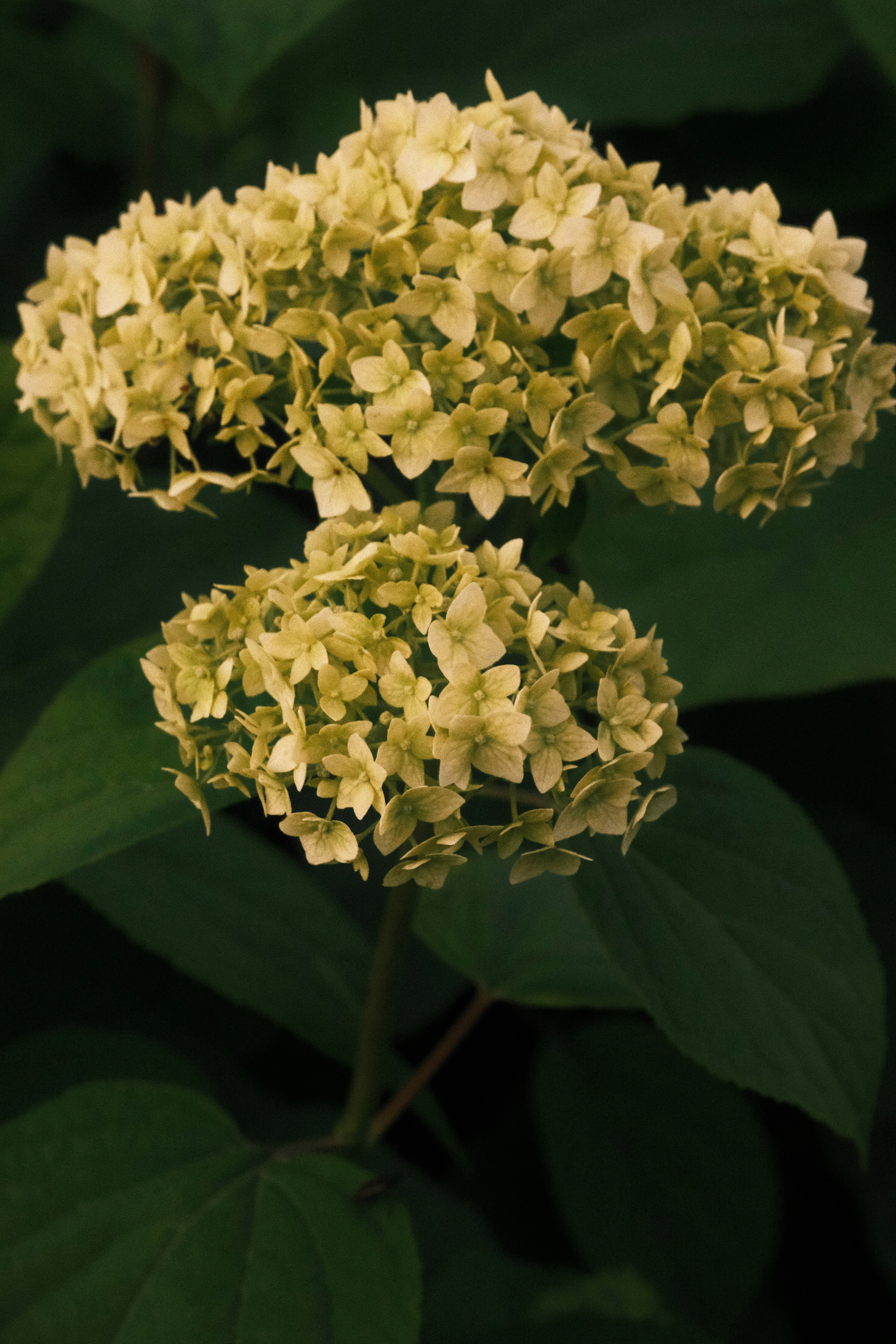 Photo by tatianarudneva