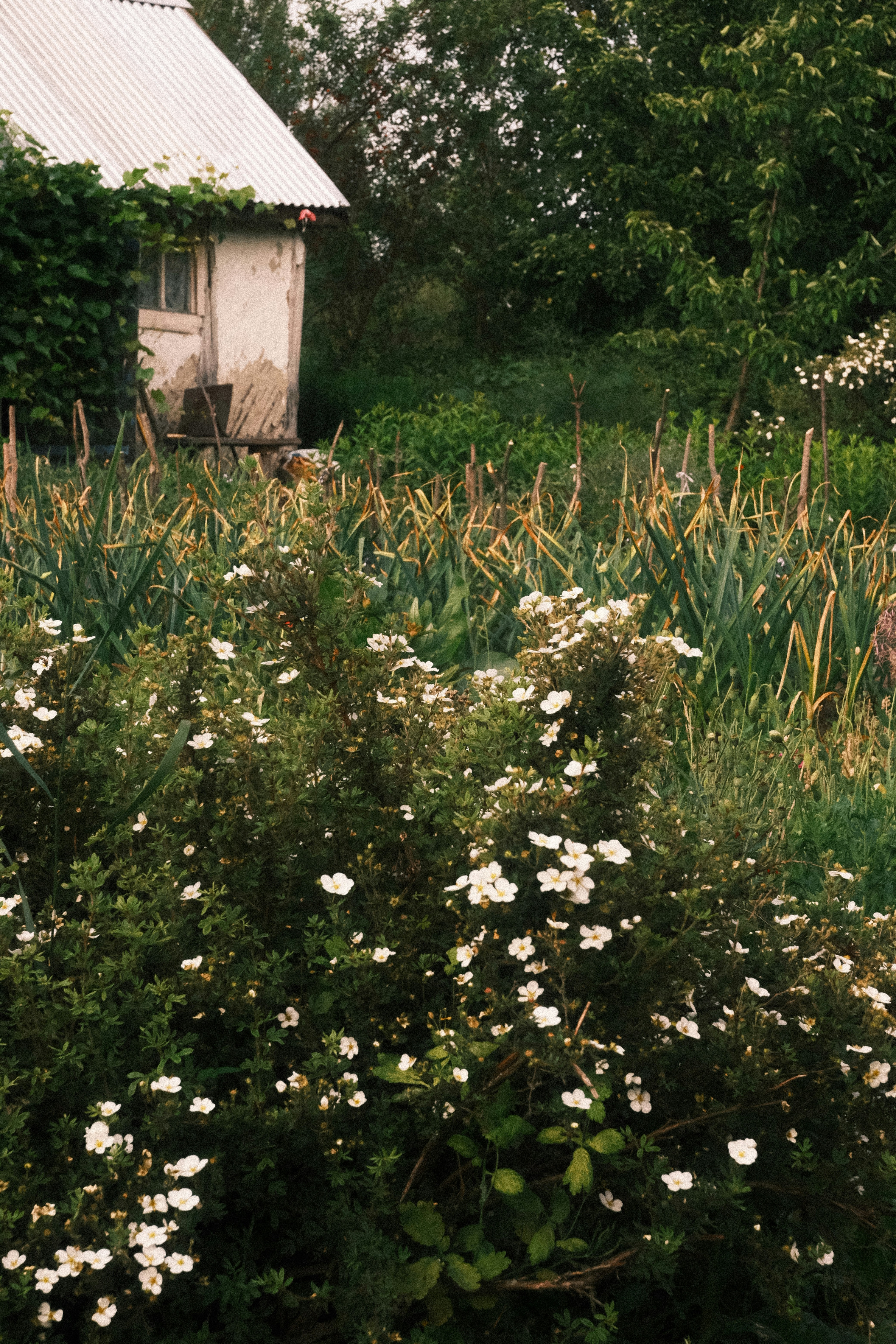 Photo by tatianarudneva