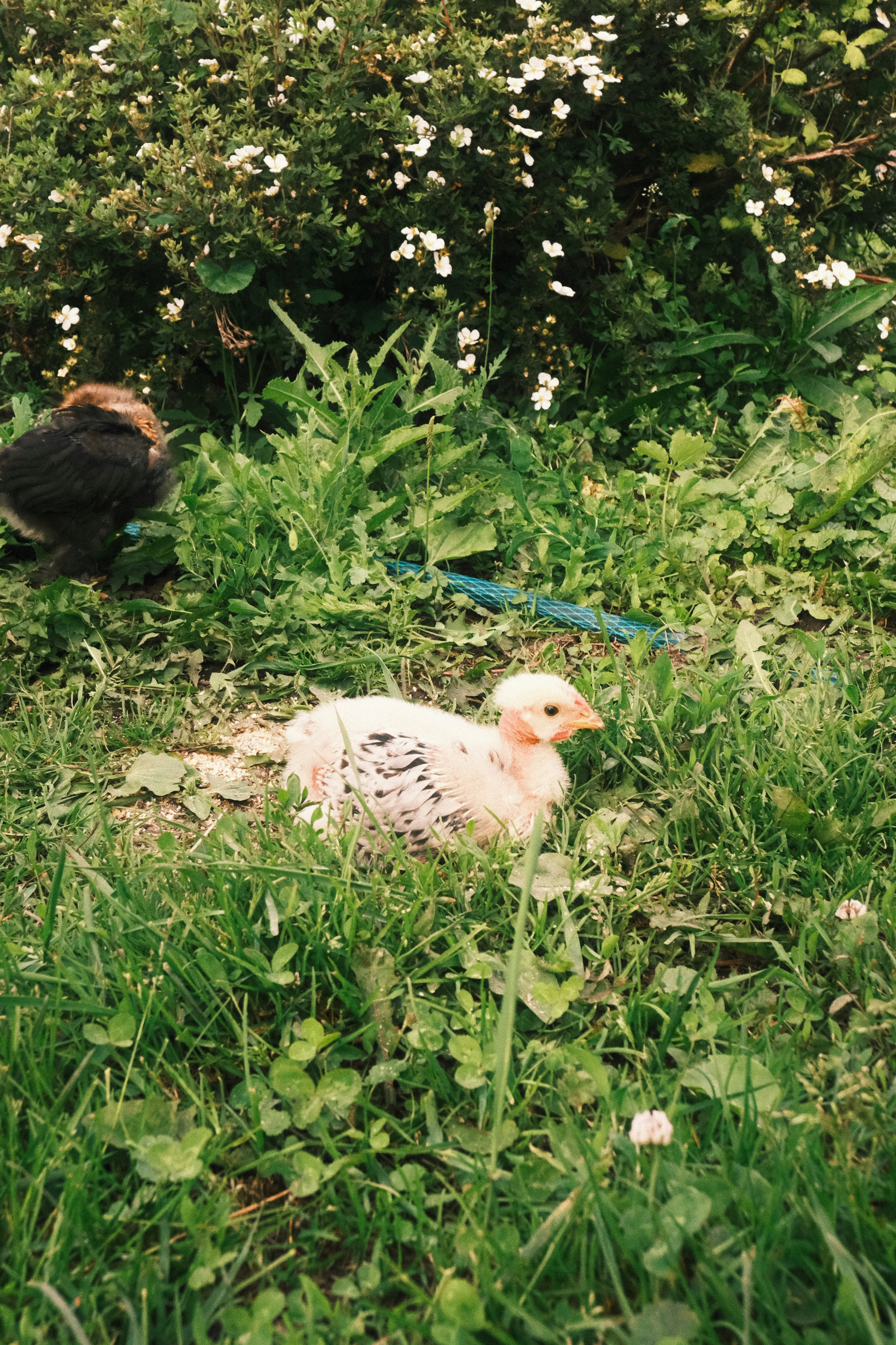 Photo by tatianarudneva