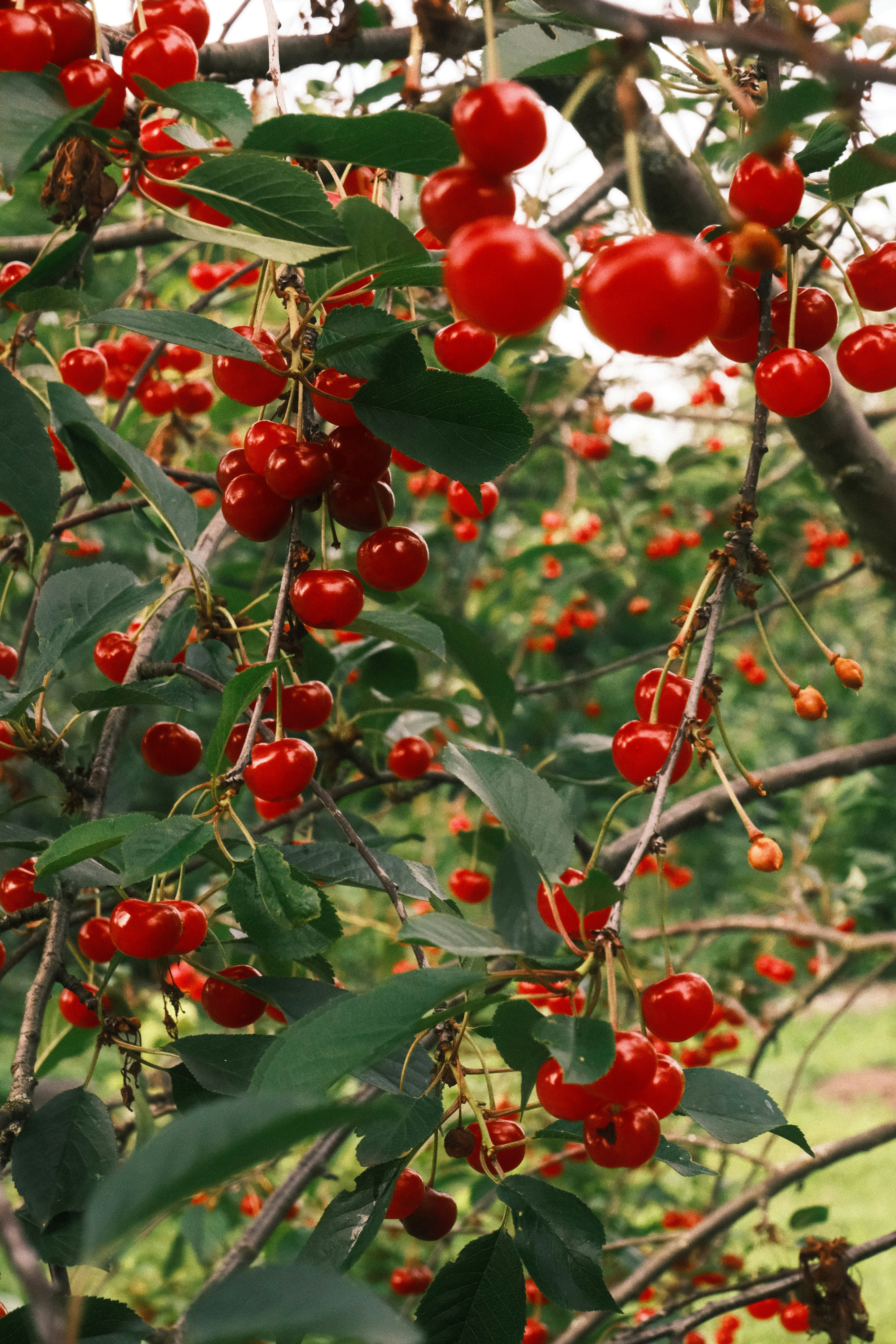 Photo by tatianarudneva