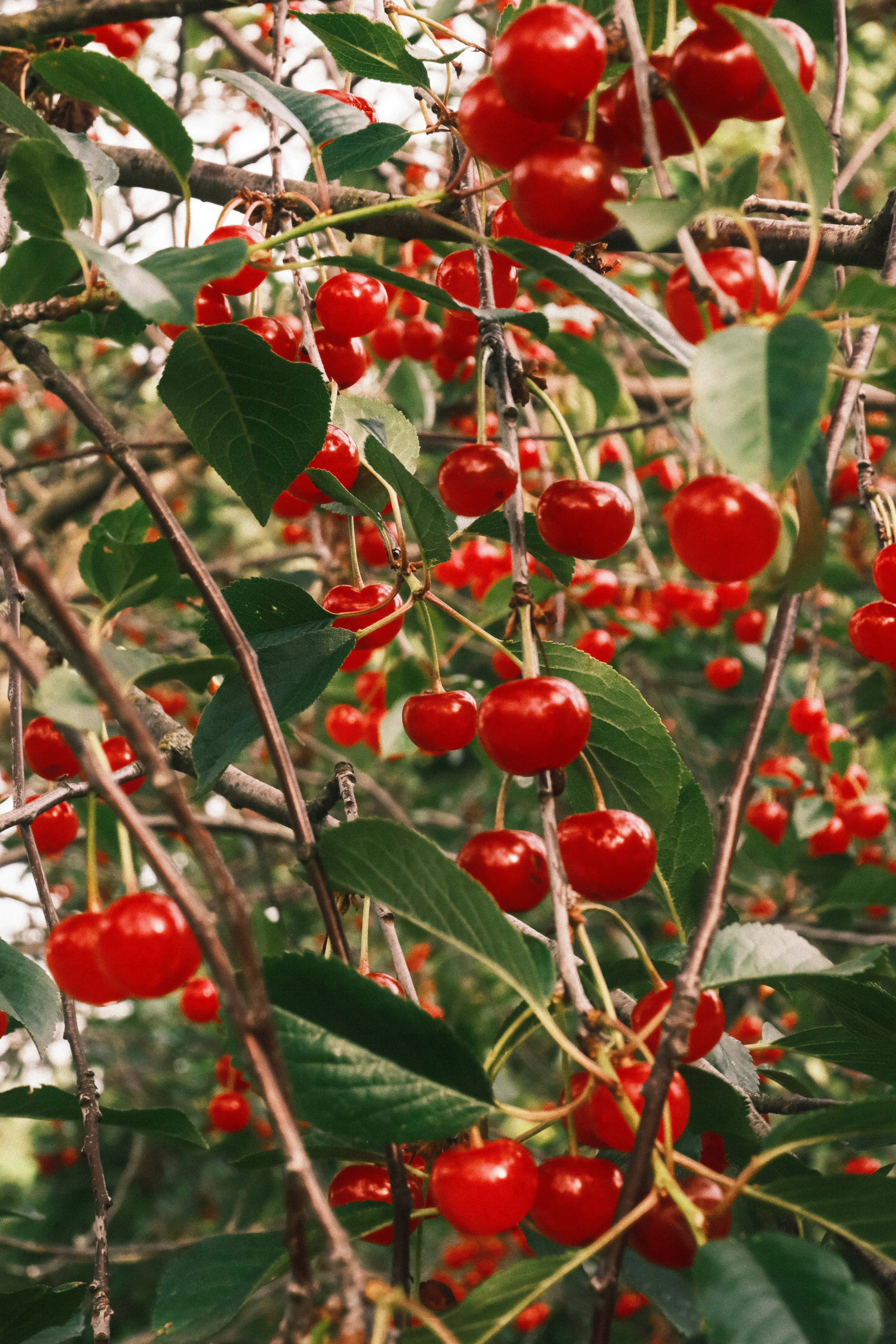 Photo by tatianarudneva