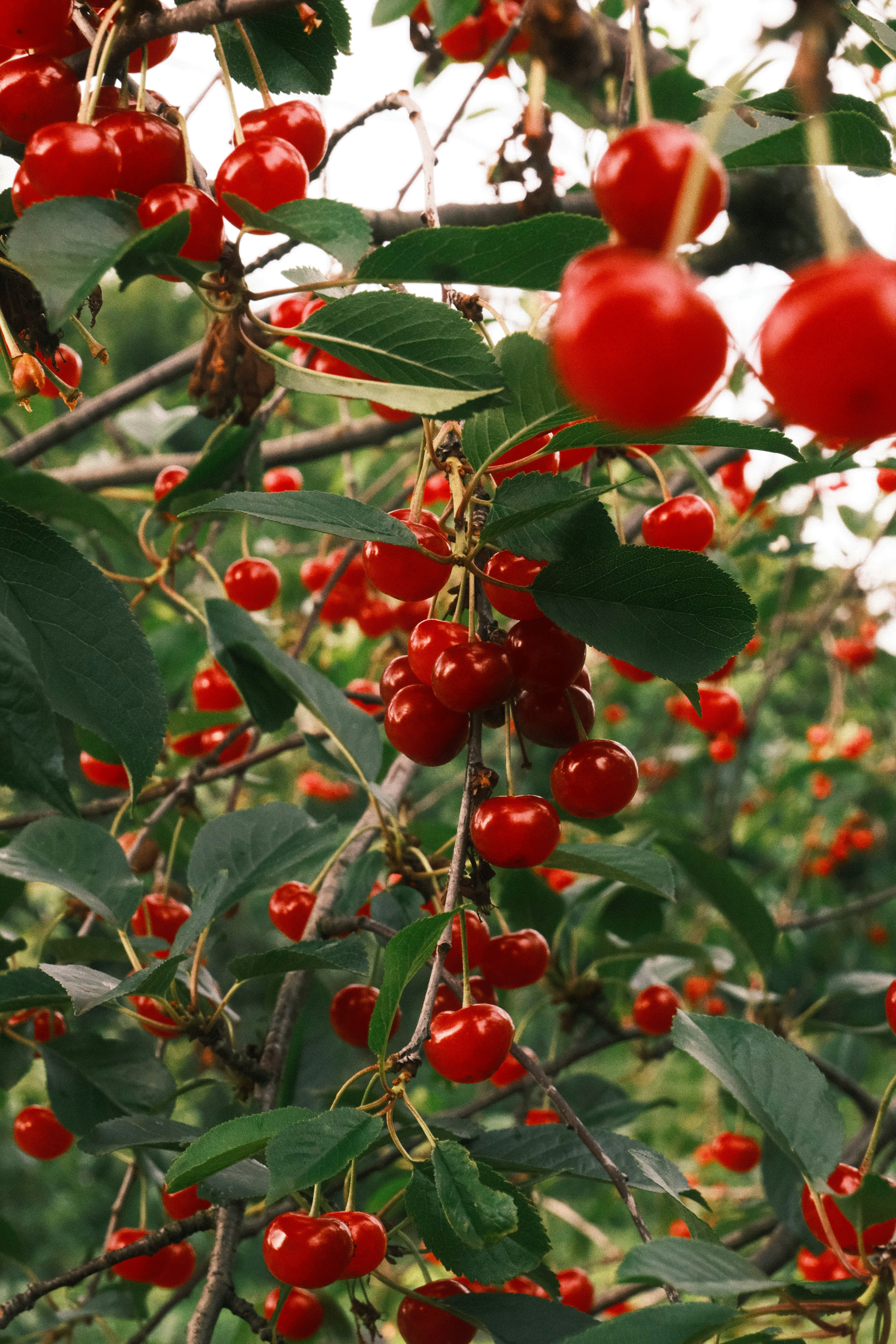 Photo by tatianarudneva