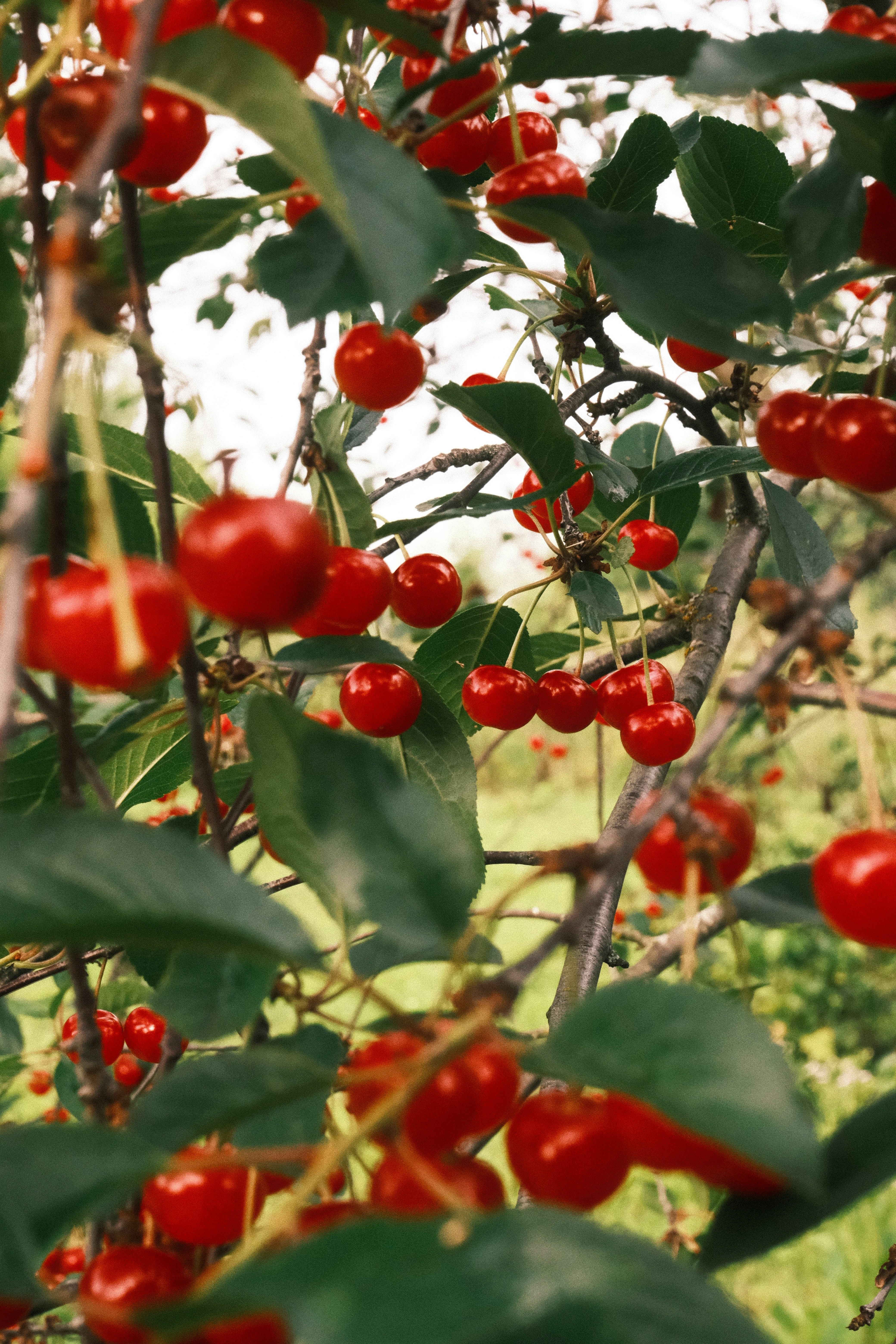 Photo by tatianarudneva