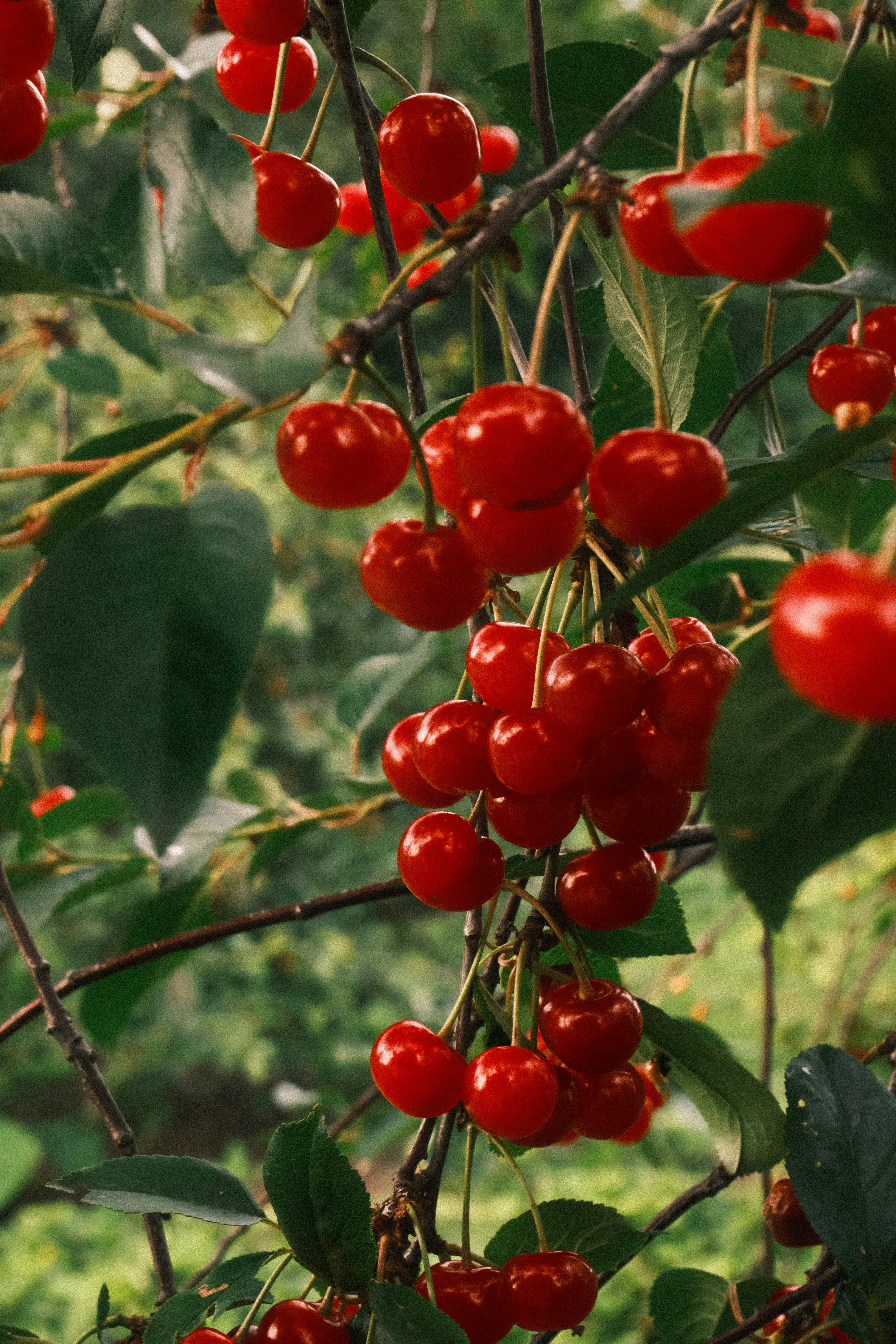 Photo by tatianarudneva