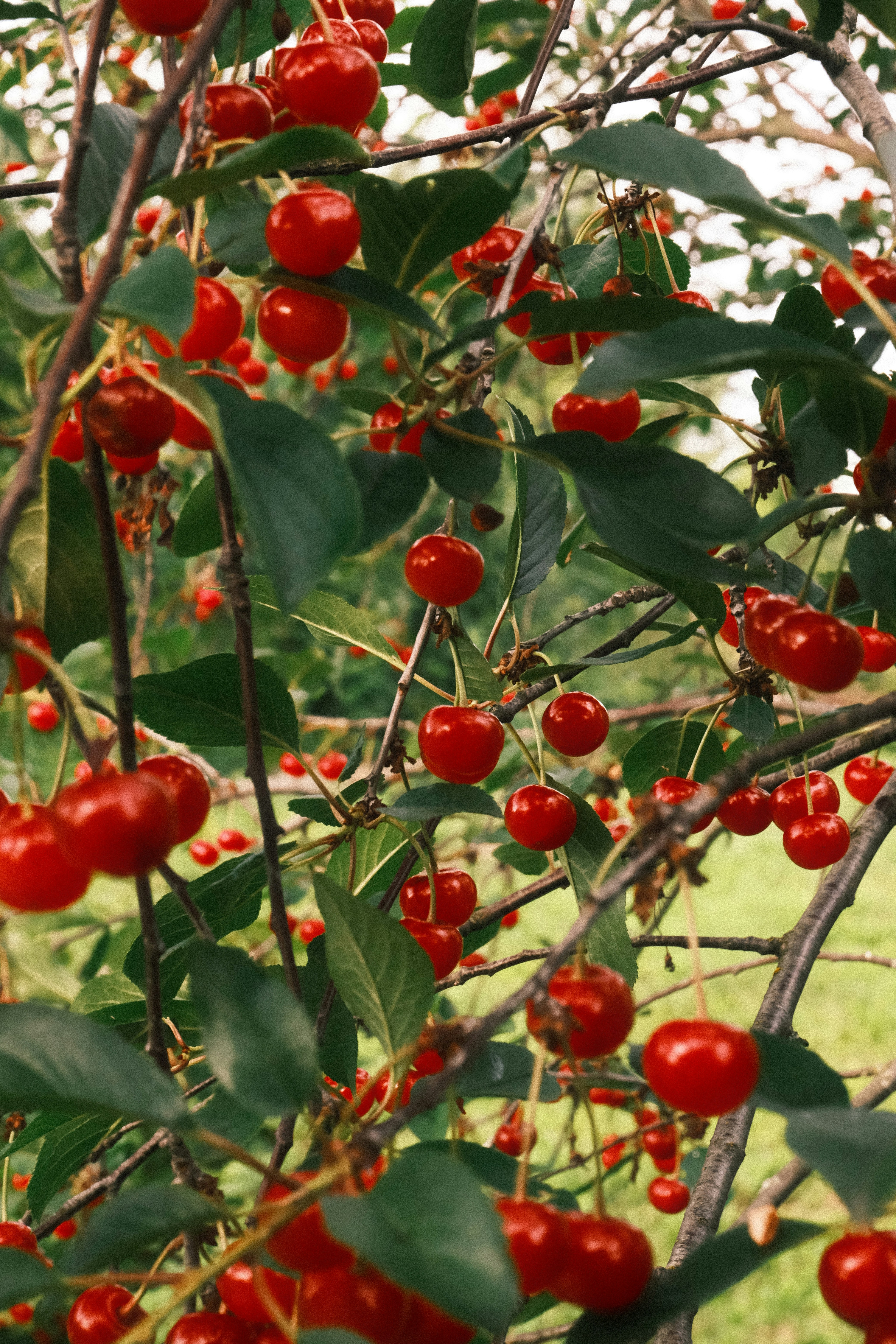 Photo by tatianarudneva