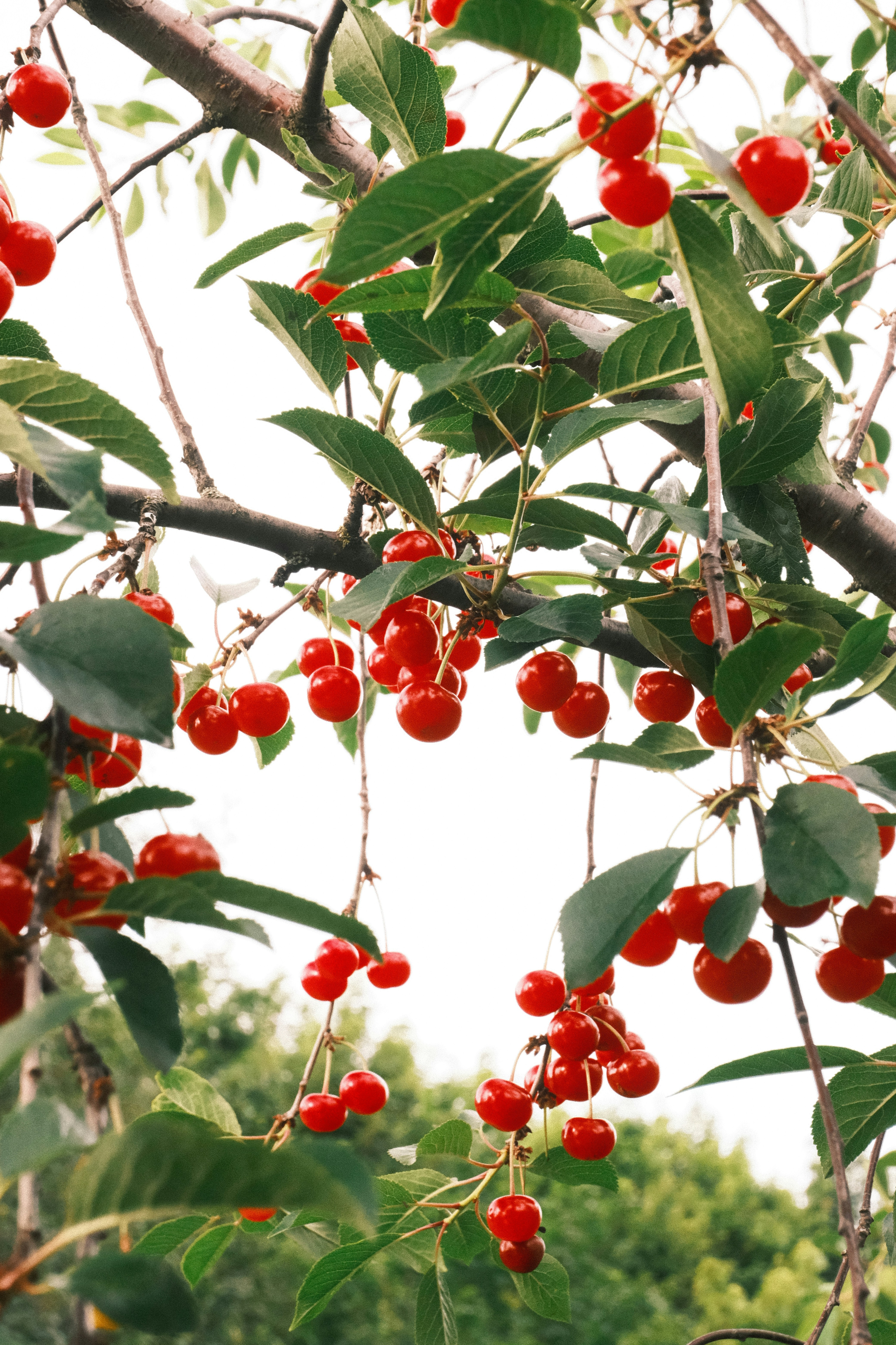 Photo by tatianarudneva