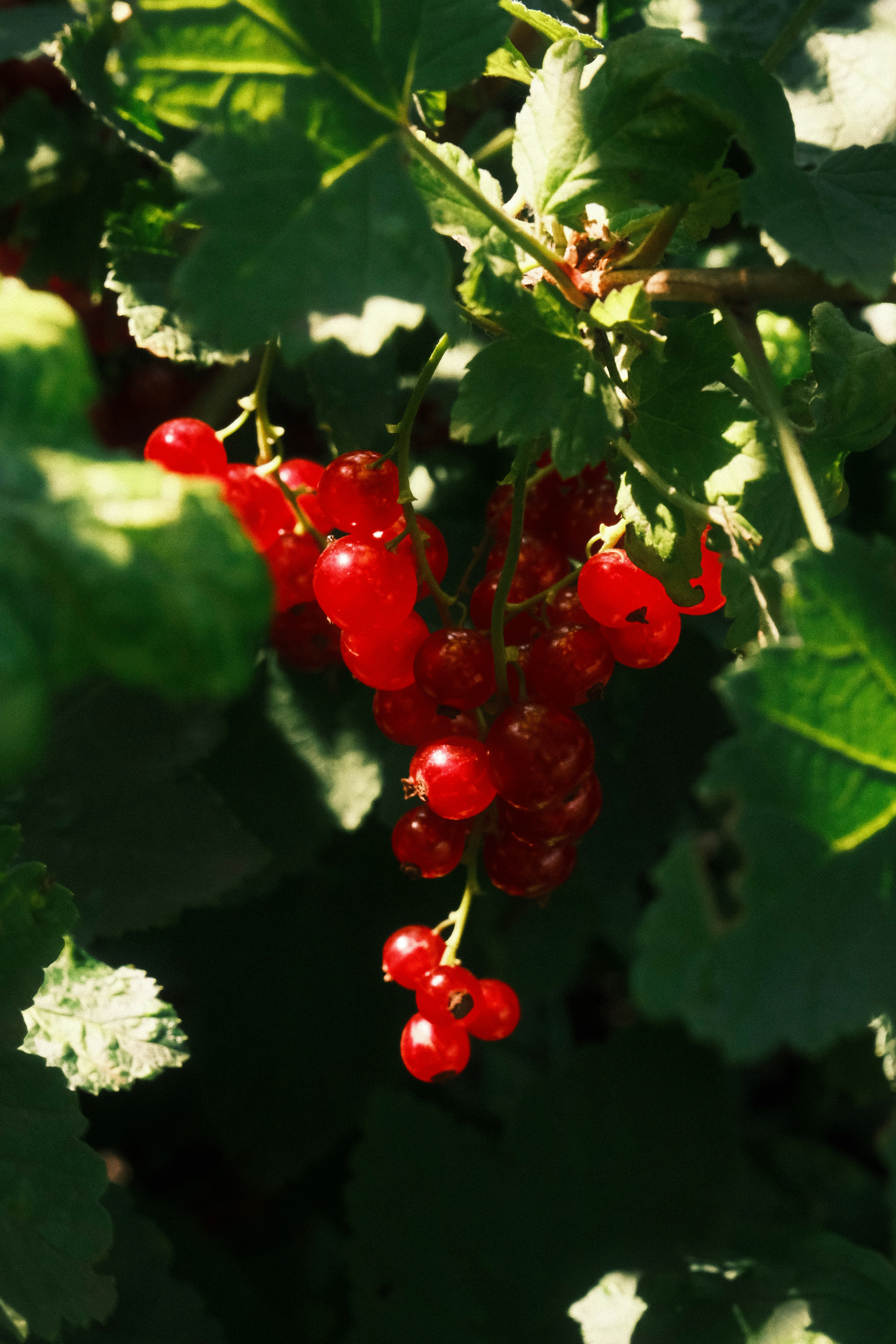 Photo by tatianarudneva