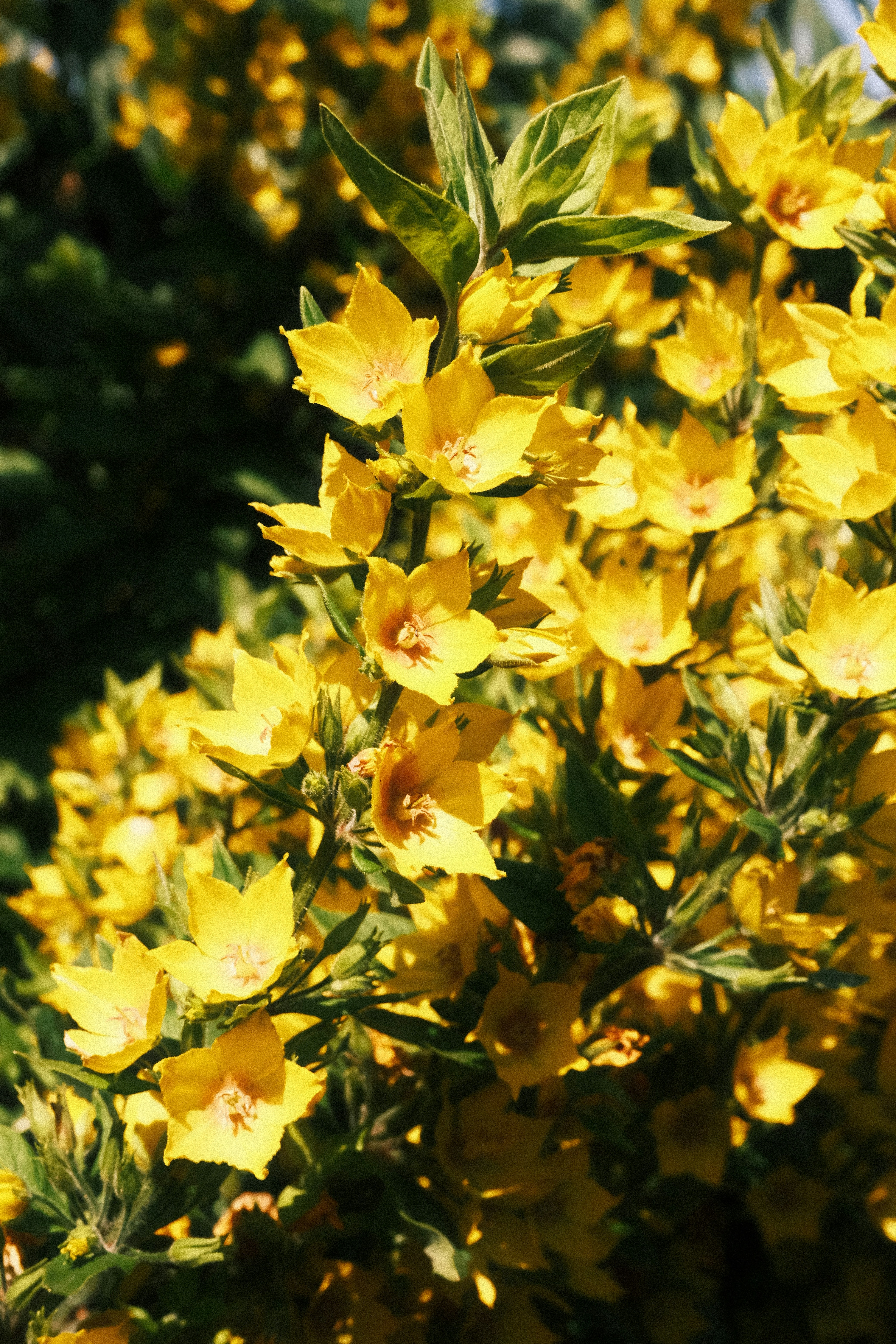 Photo by tatianarudneva