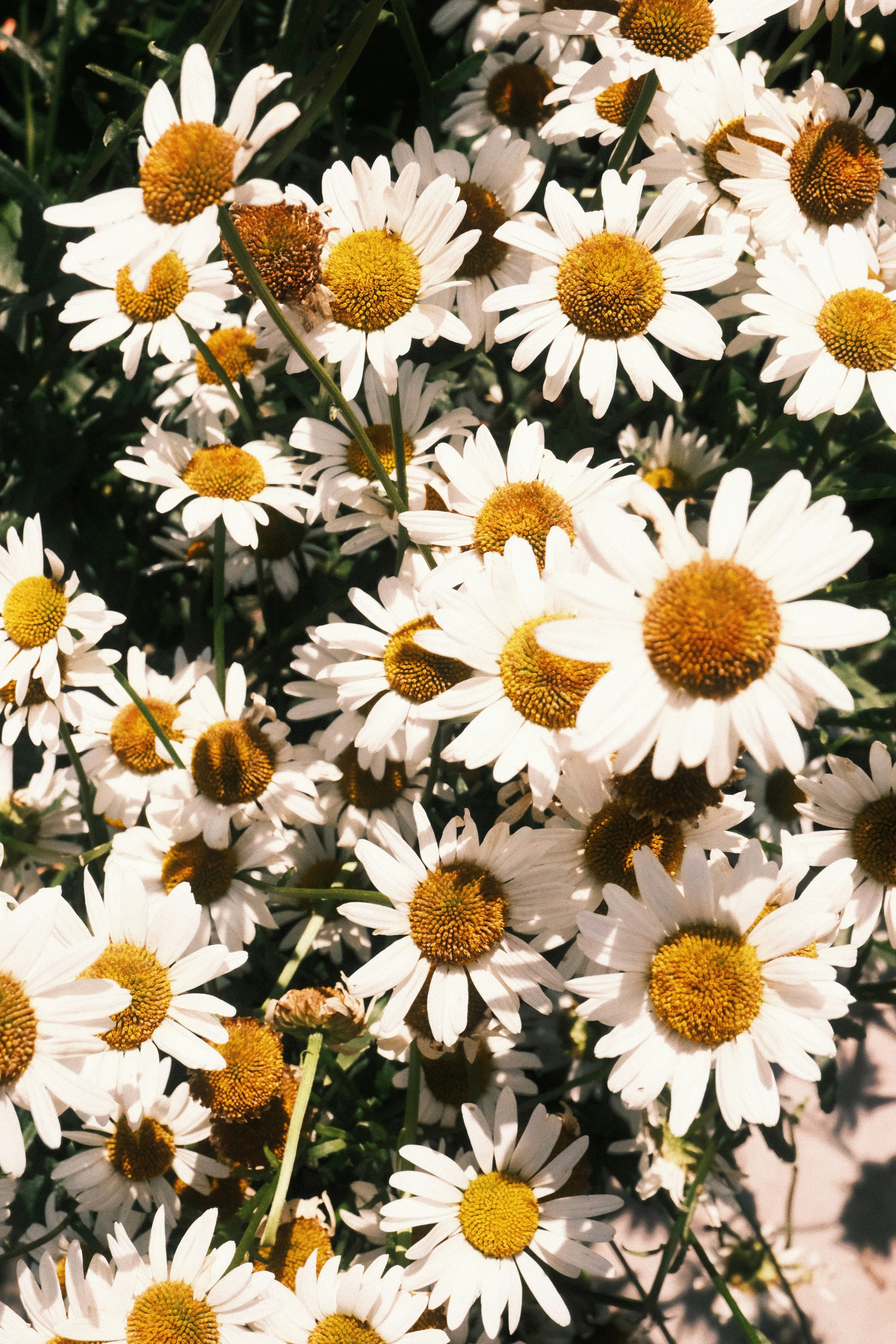 Photo by tatianarudneva