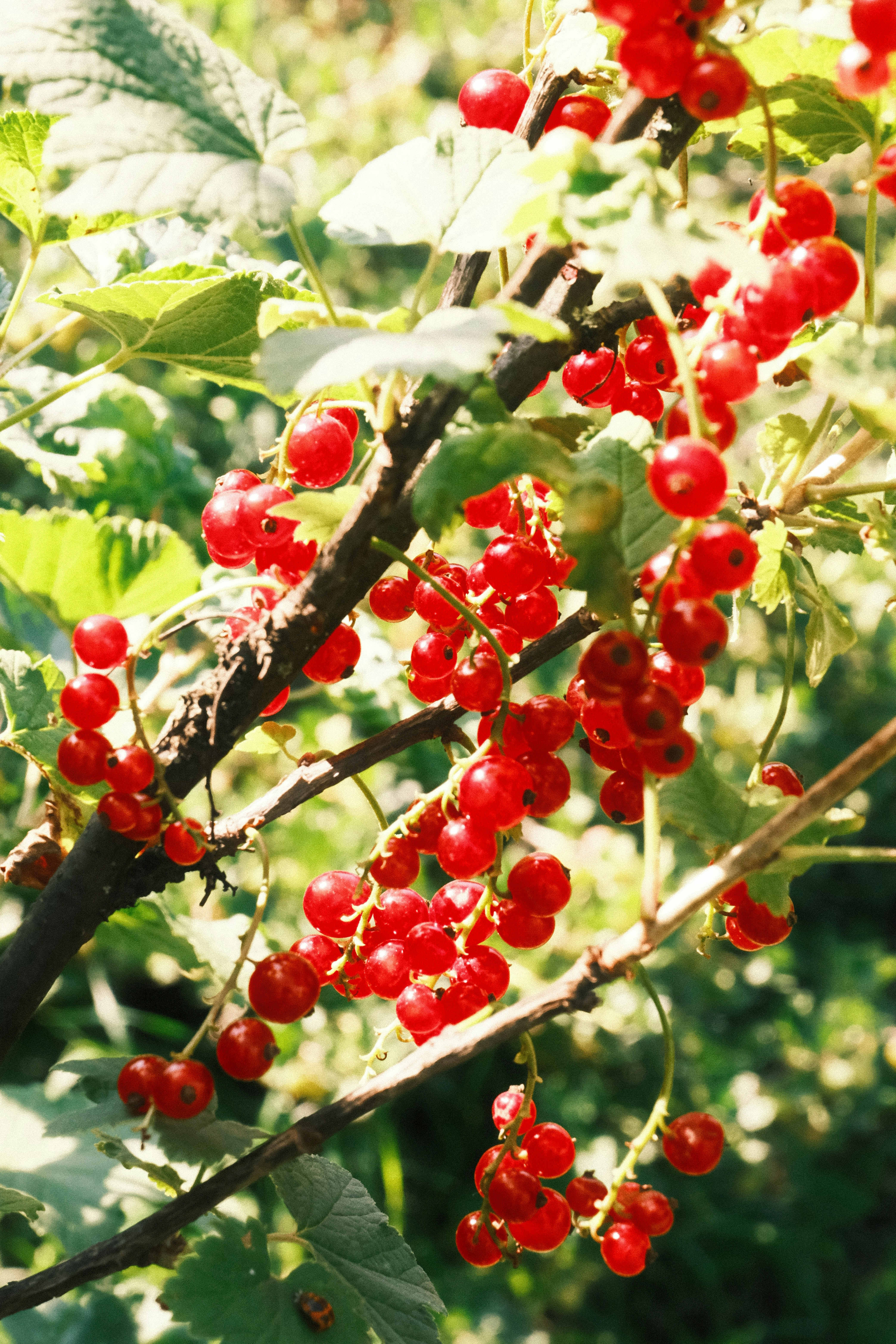 Photo by tatianarudneva