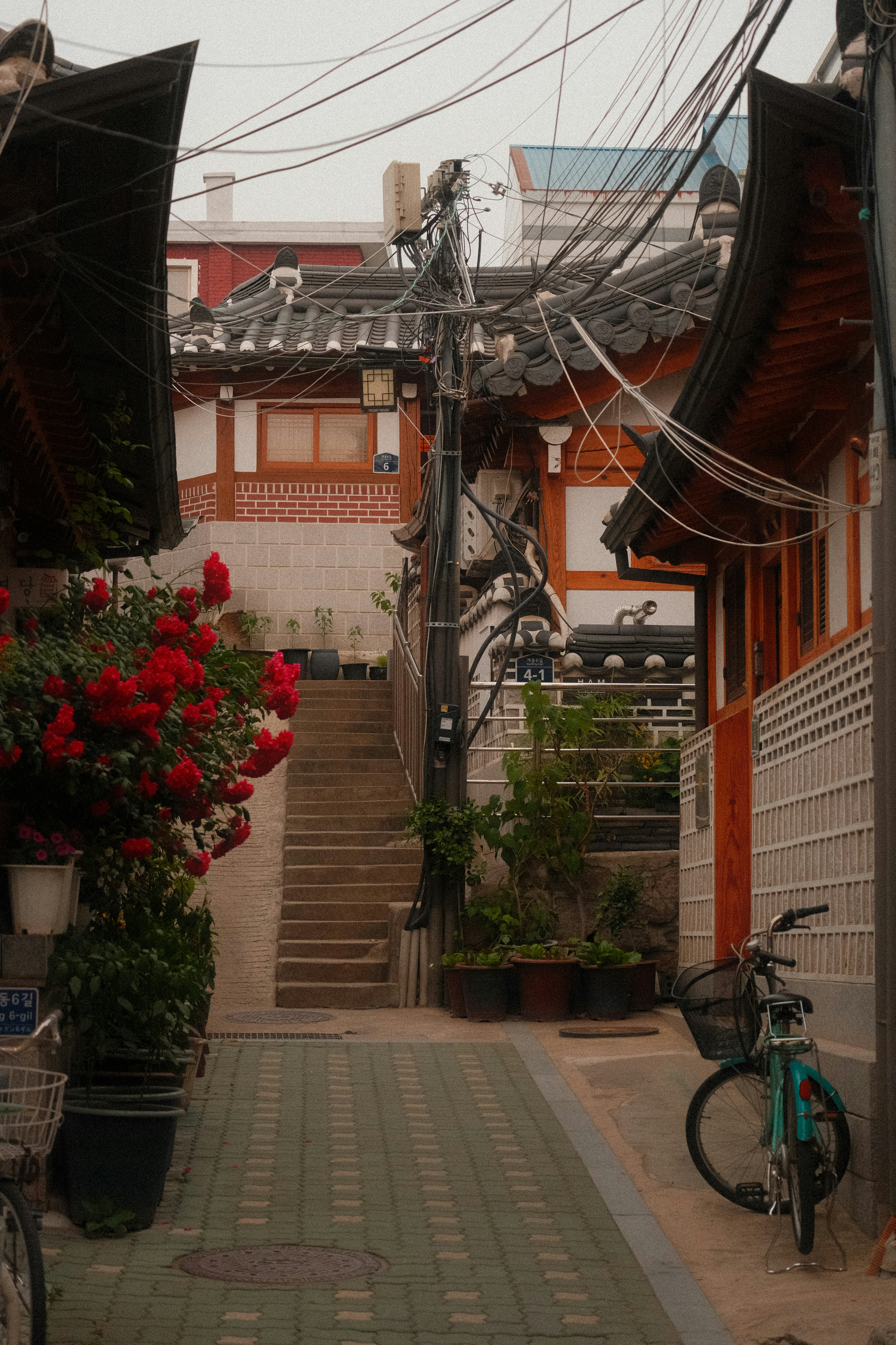 Photo by taamannae