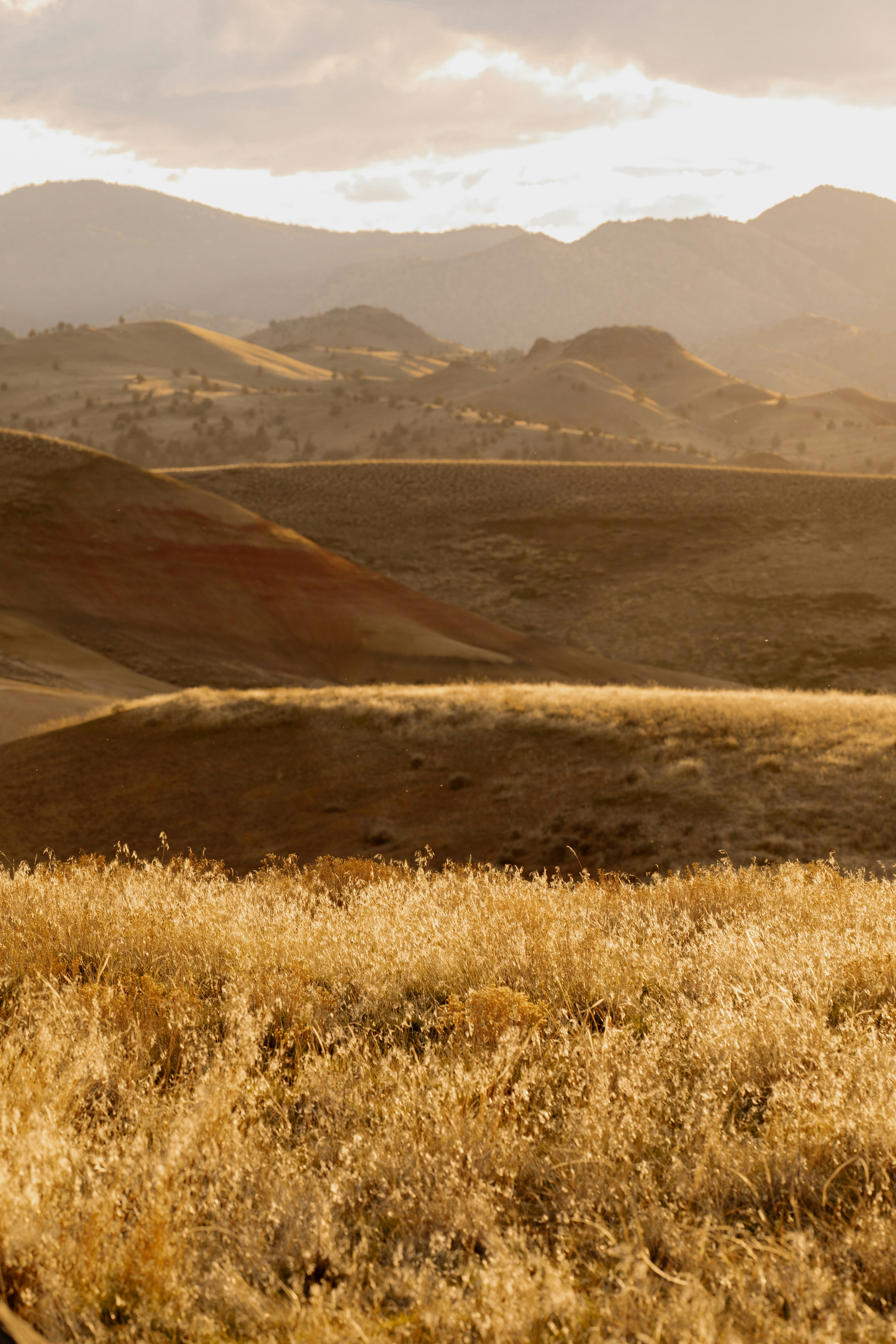 Golden fields and rolling hills bathe in sunlight.