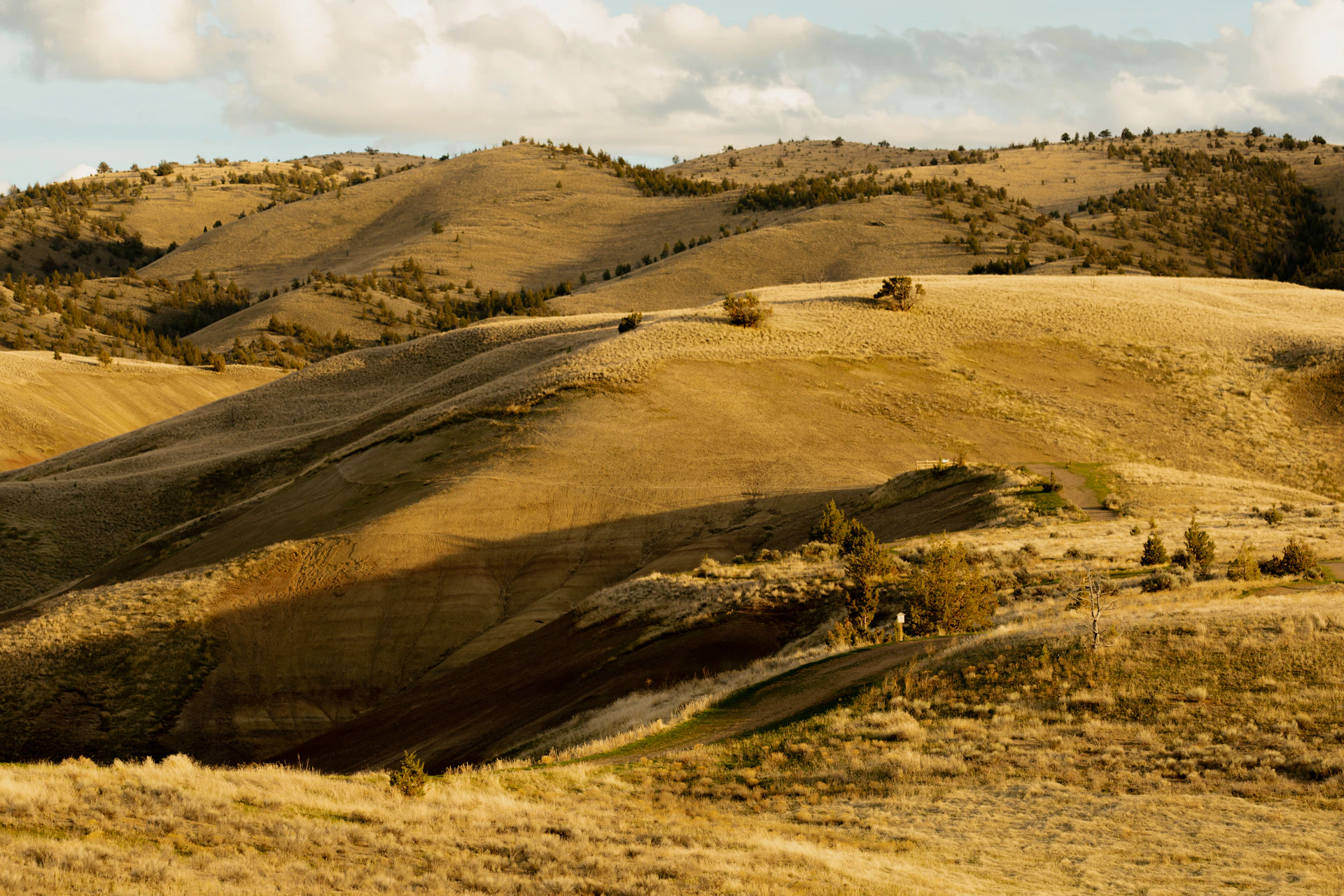 Rolling hills bathed in warm sunlight.