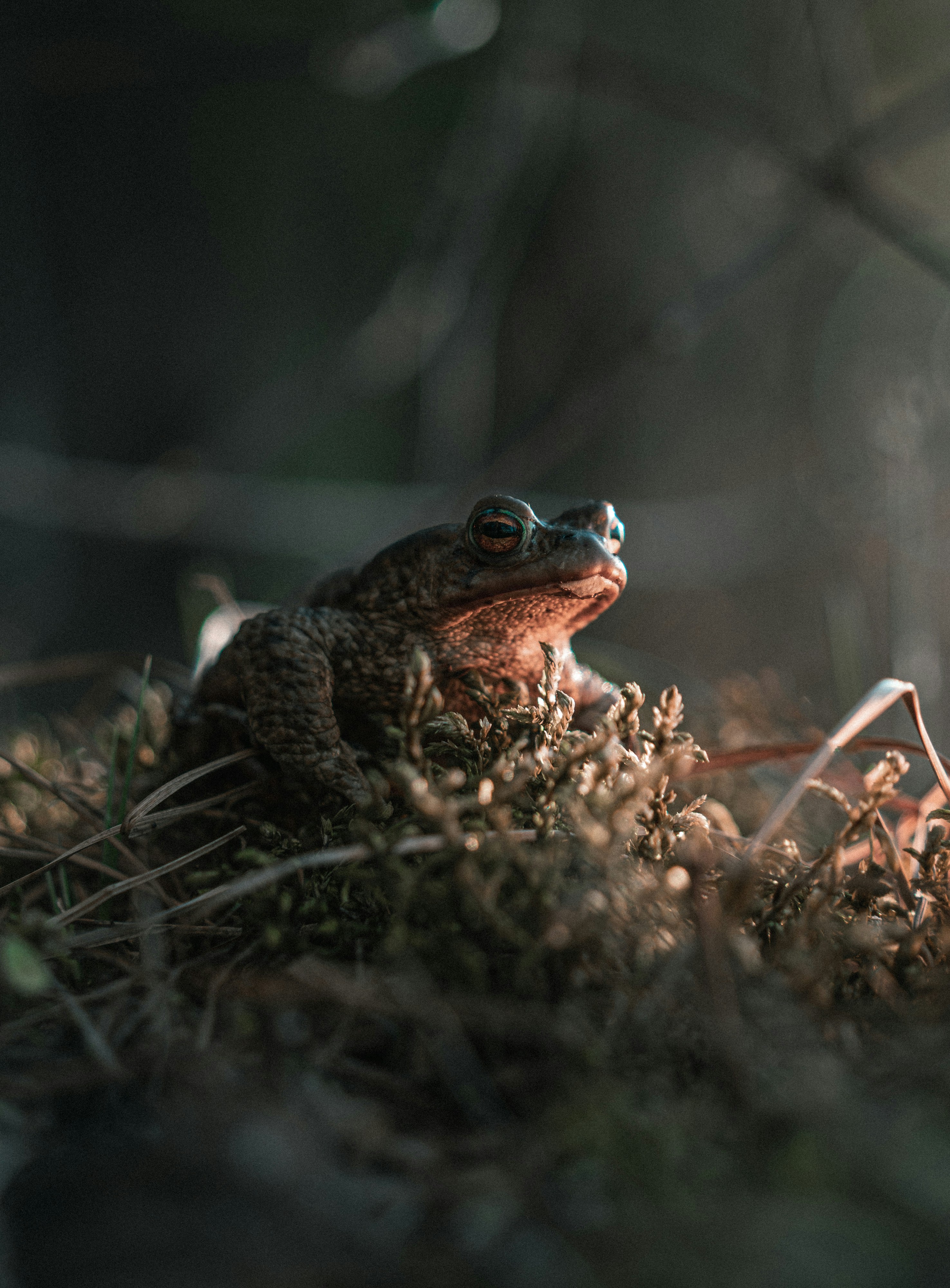 Photo by vadimsadovski