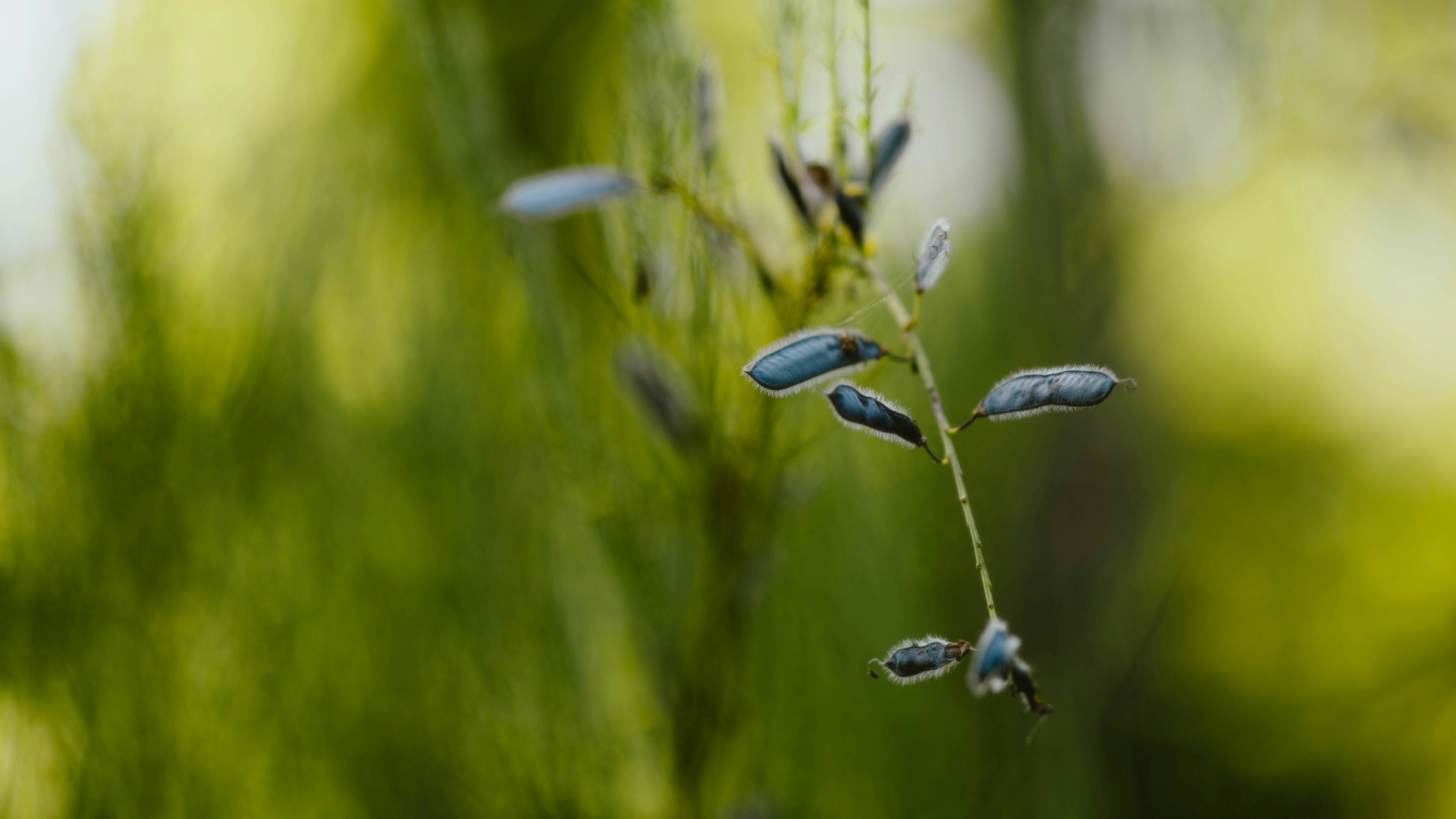 Photo by alingavriliuc