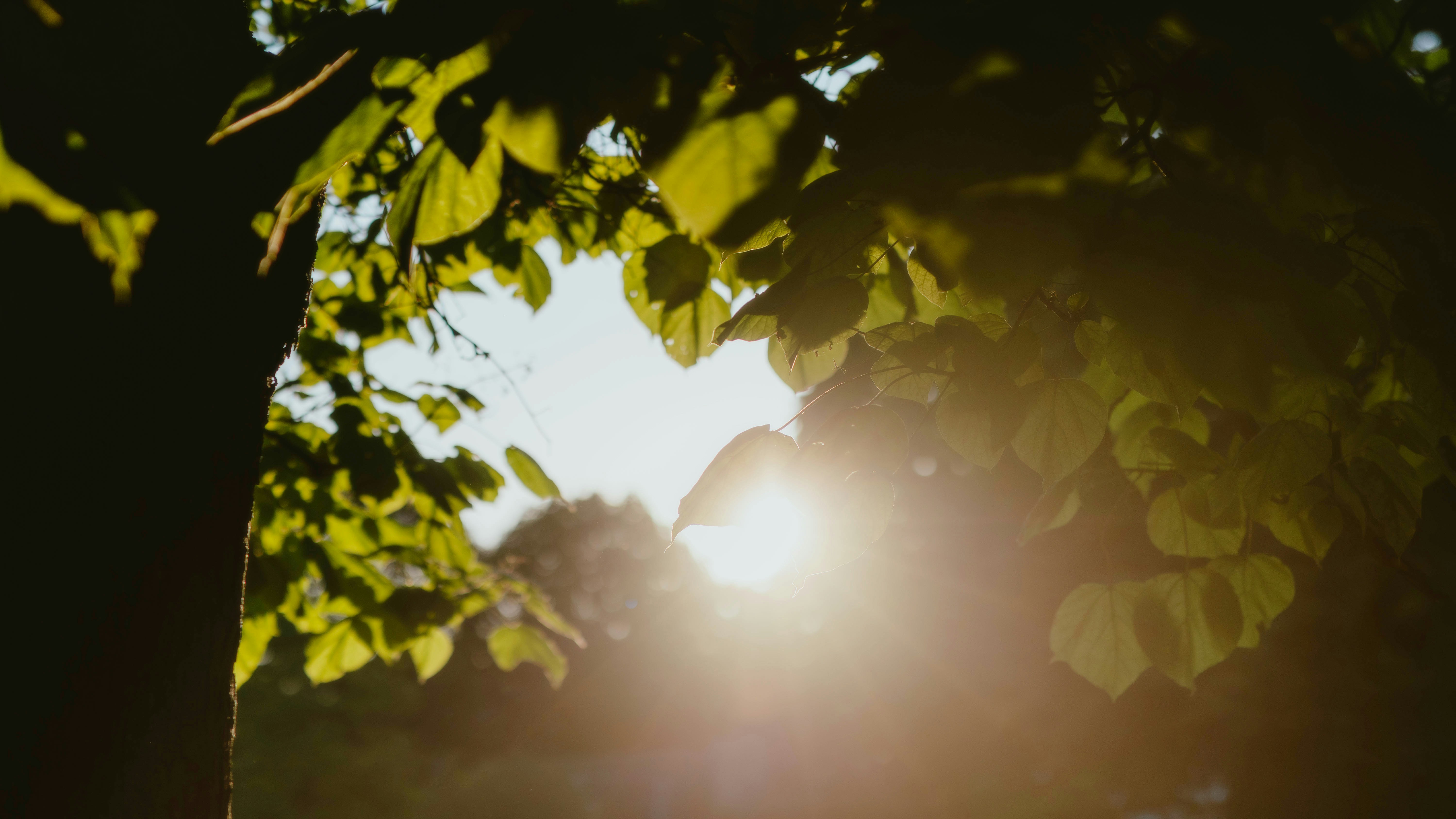 Photo by alingavriliuc