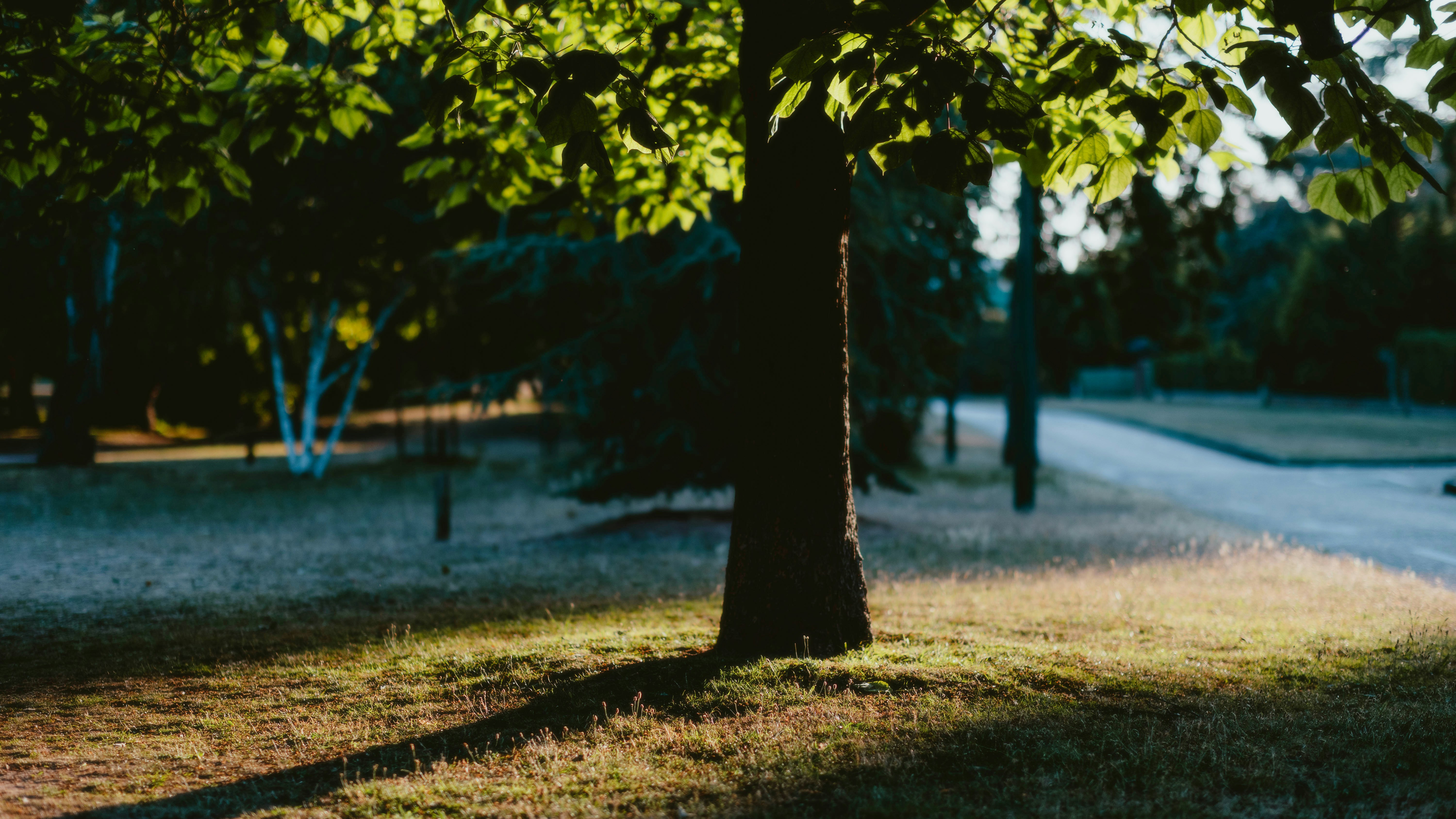 Photo by alingavriliuc