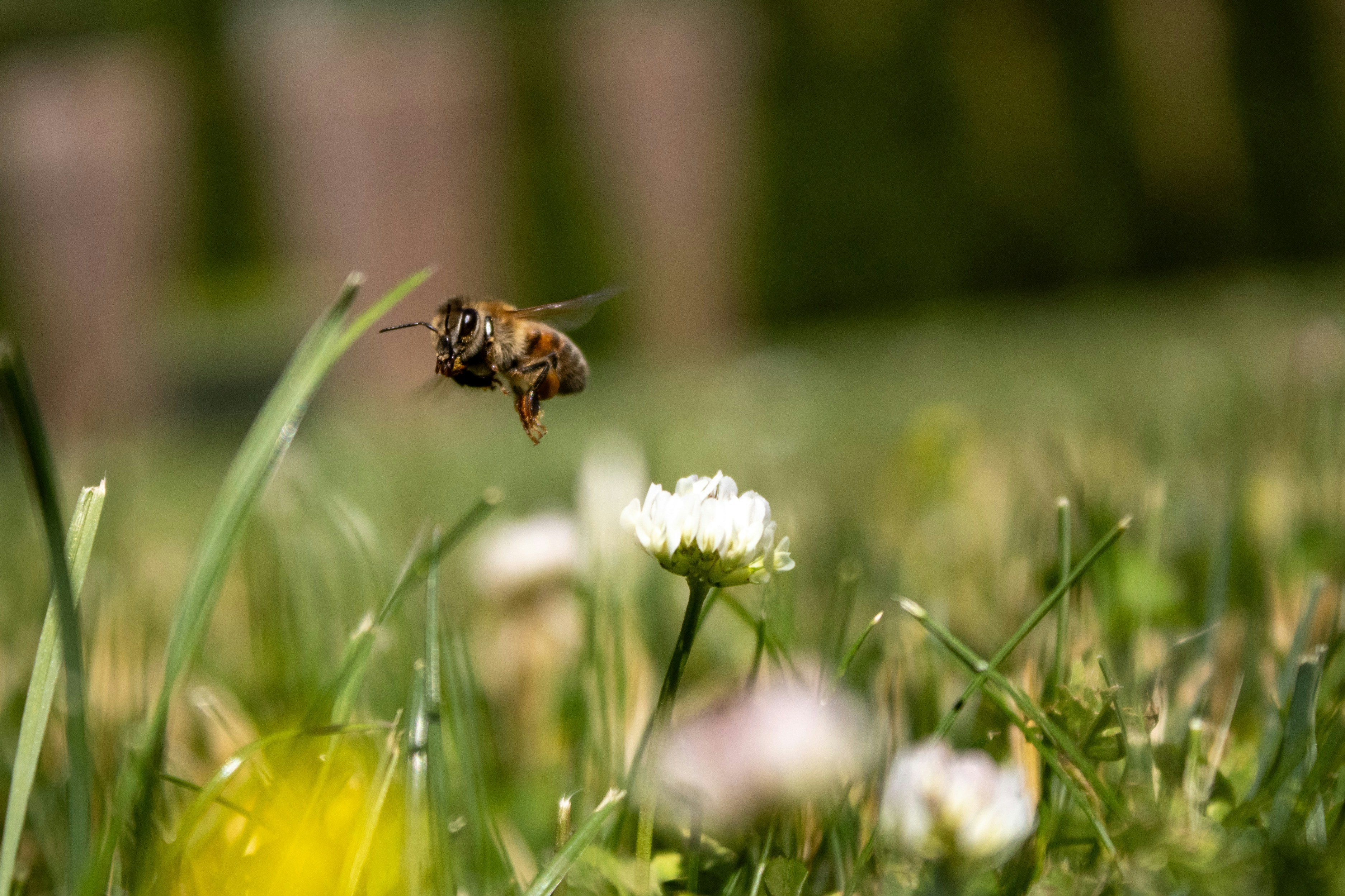 Photo by tavia_0508_sb