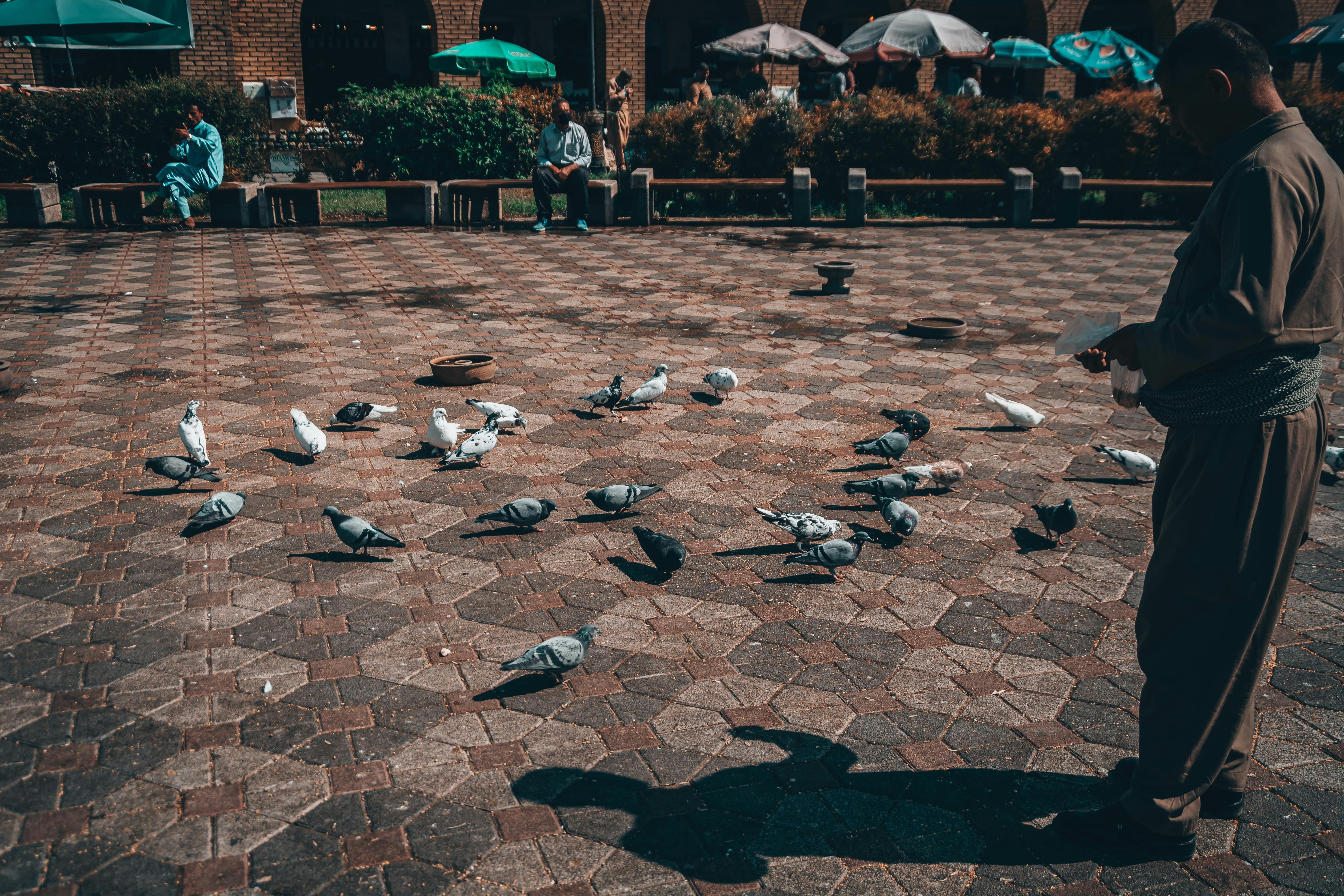 Photo by iizanyar