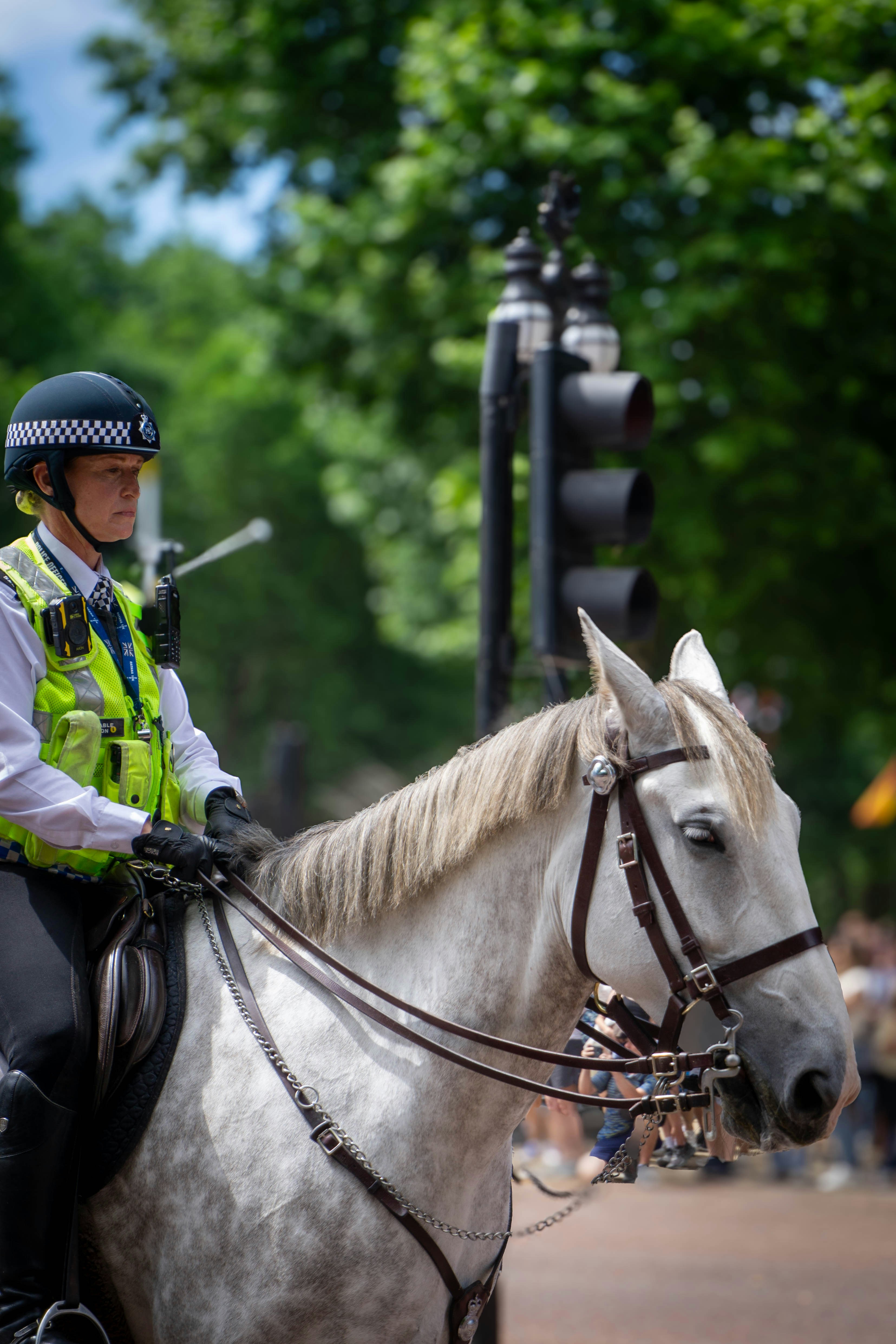 Photo by thenairative