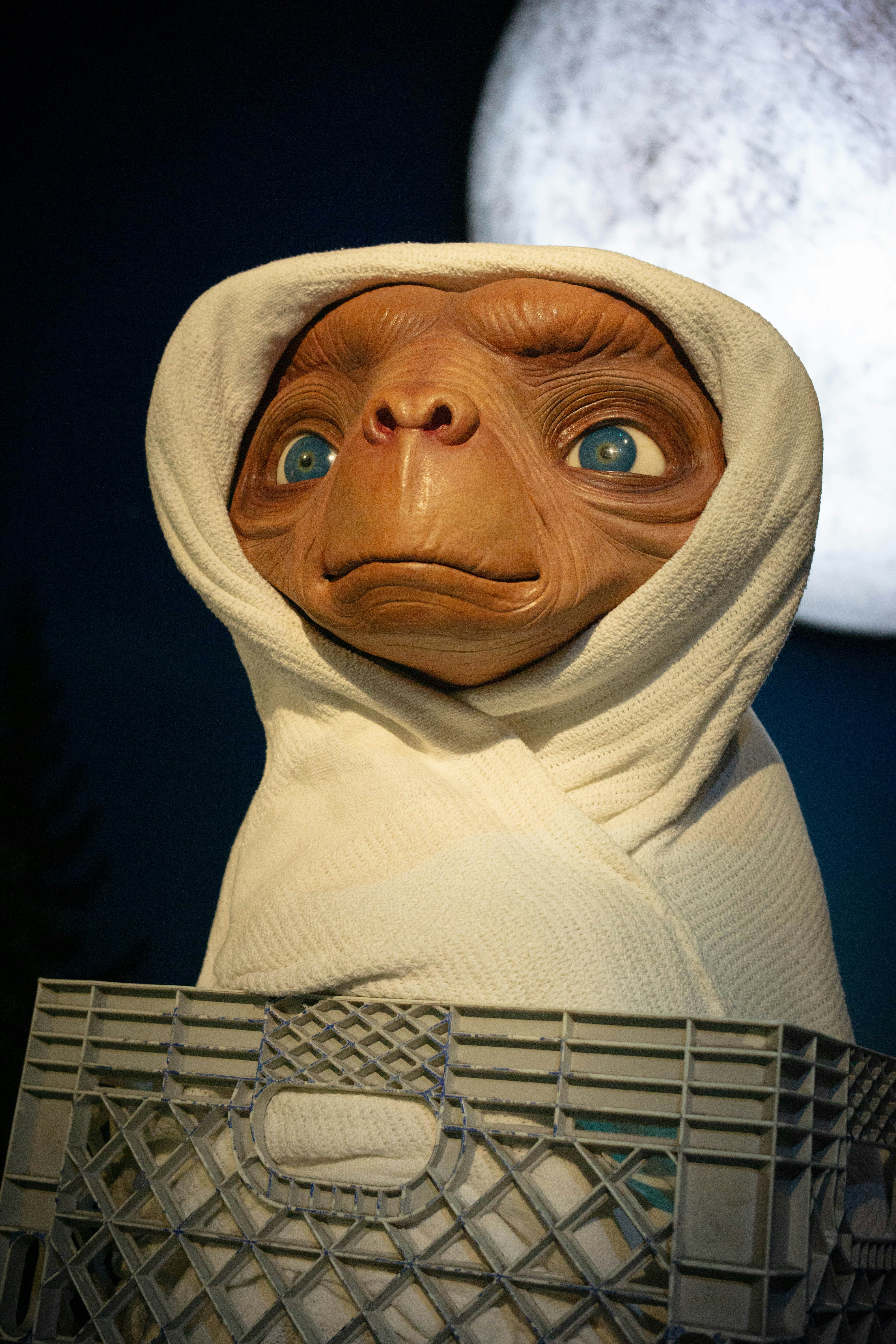 Photo by thenairative