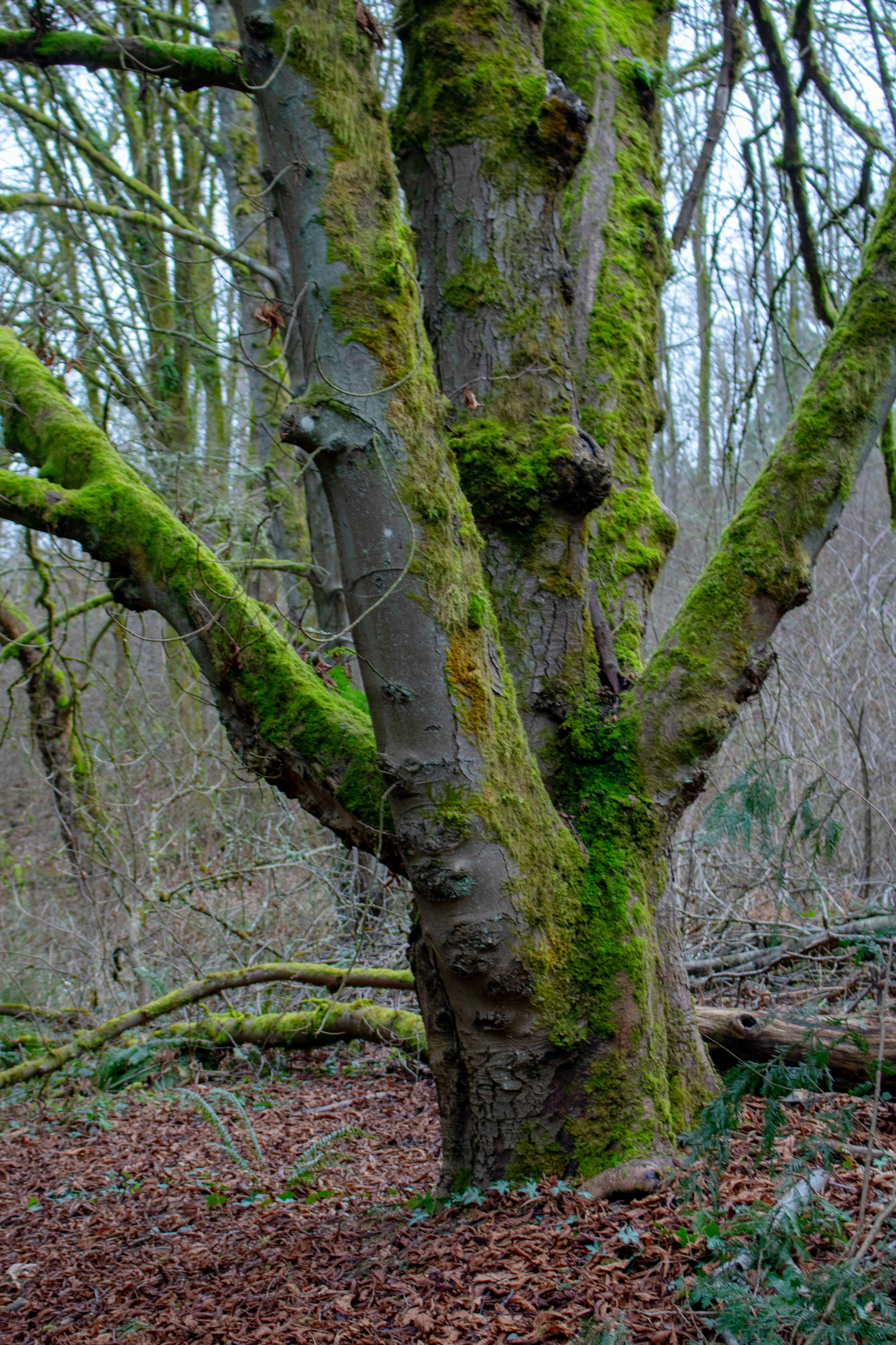 Photo by zoshuacolah