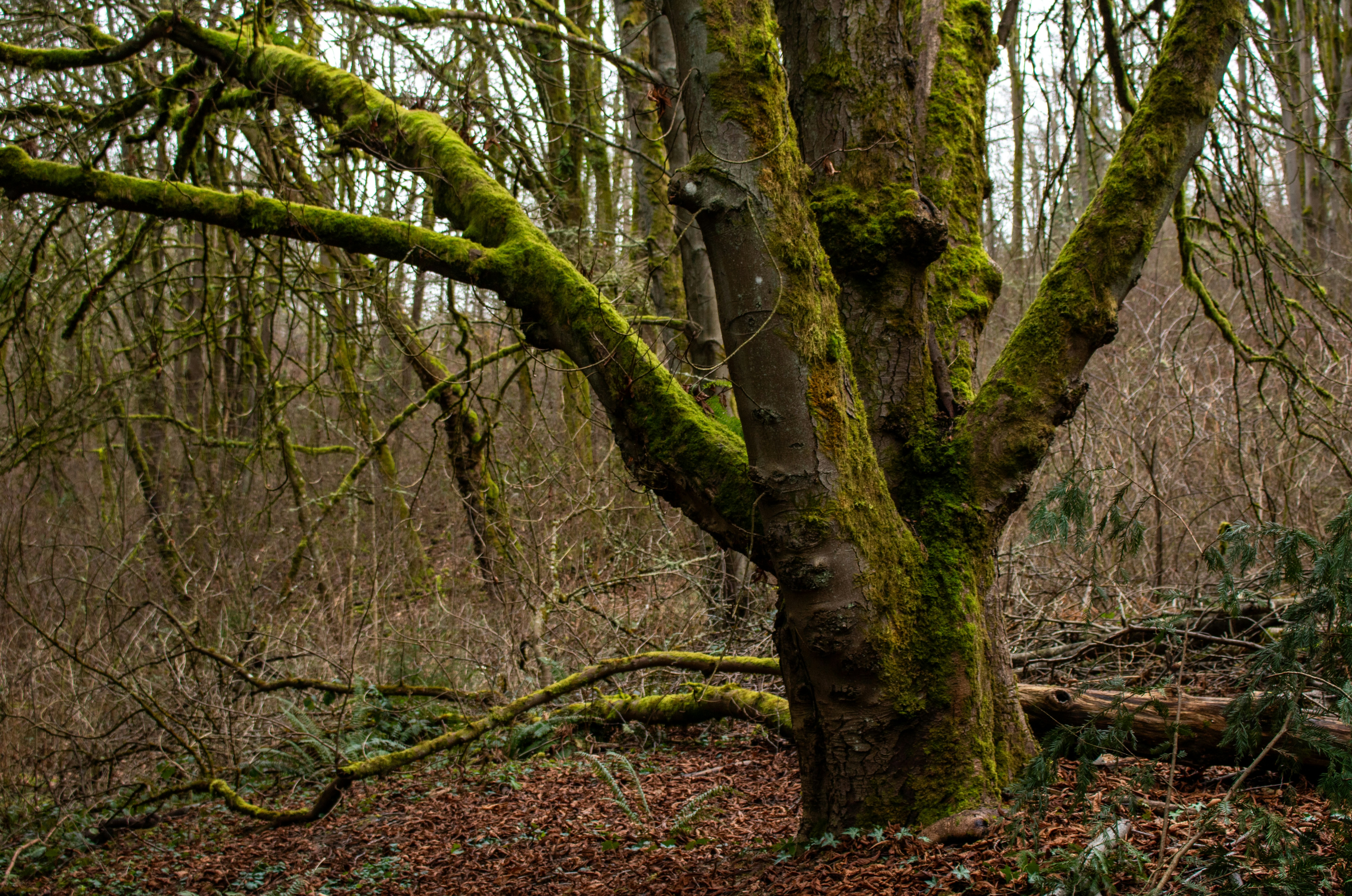 Photo by zoshuacolah