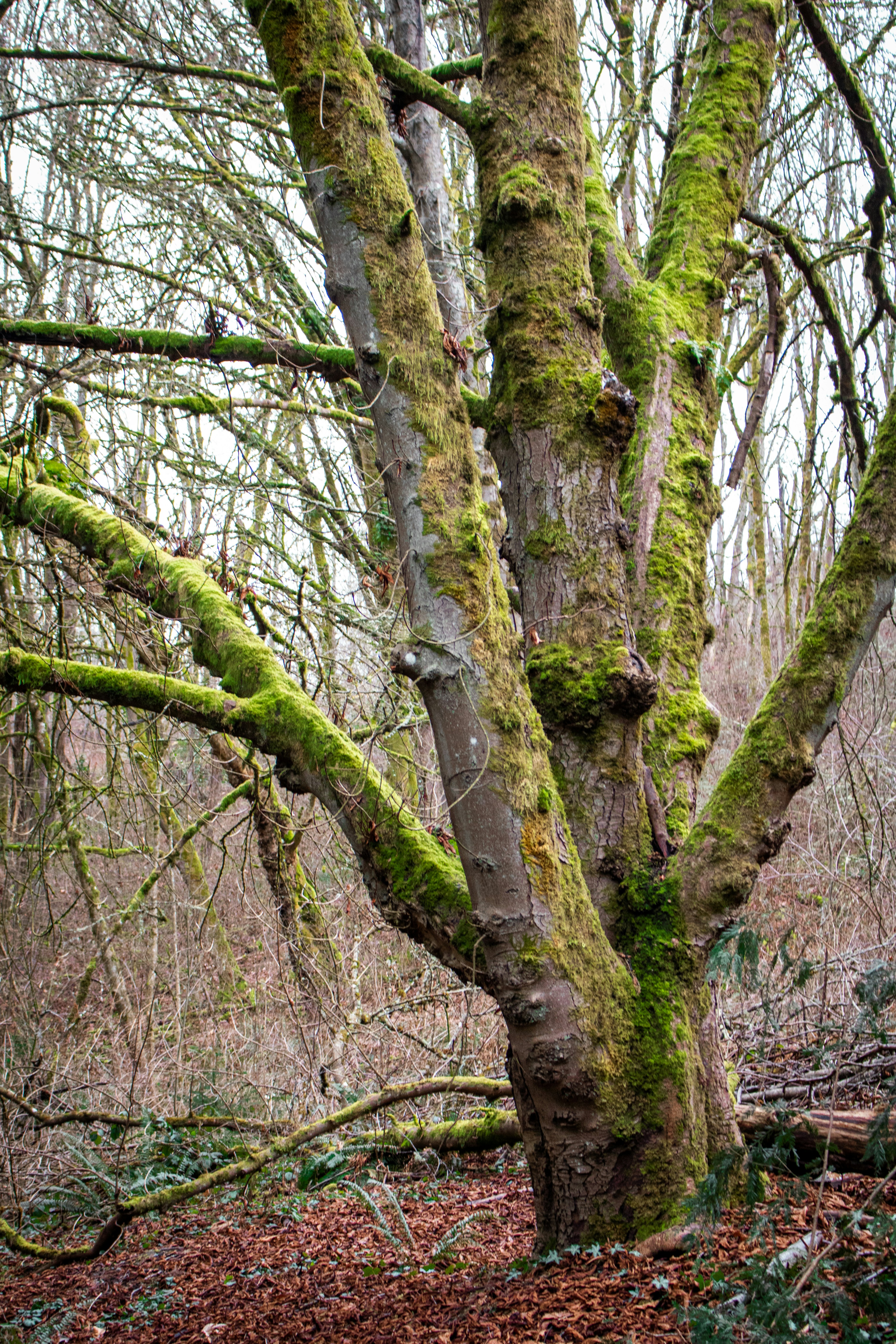 Photo by zoshuacolah