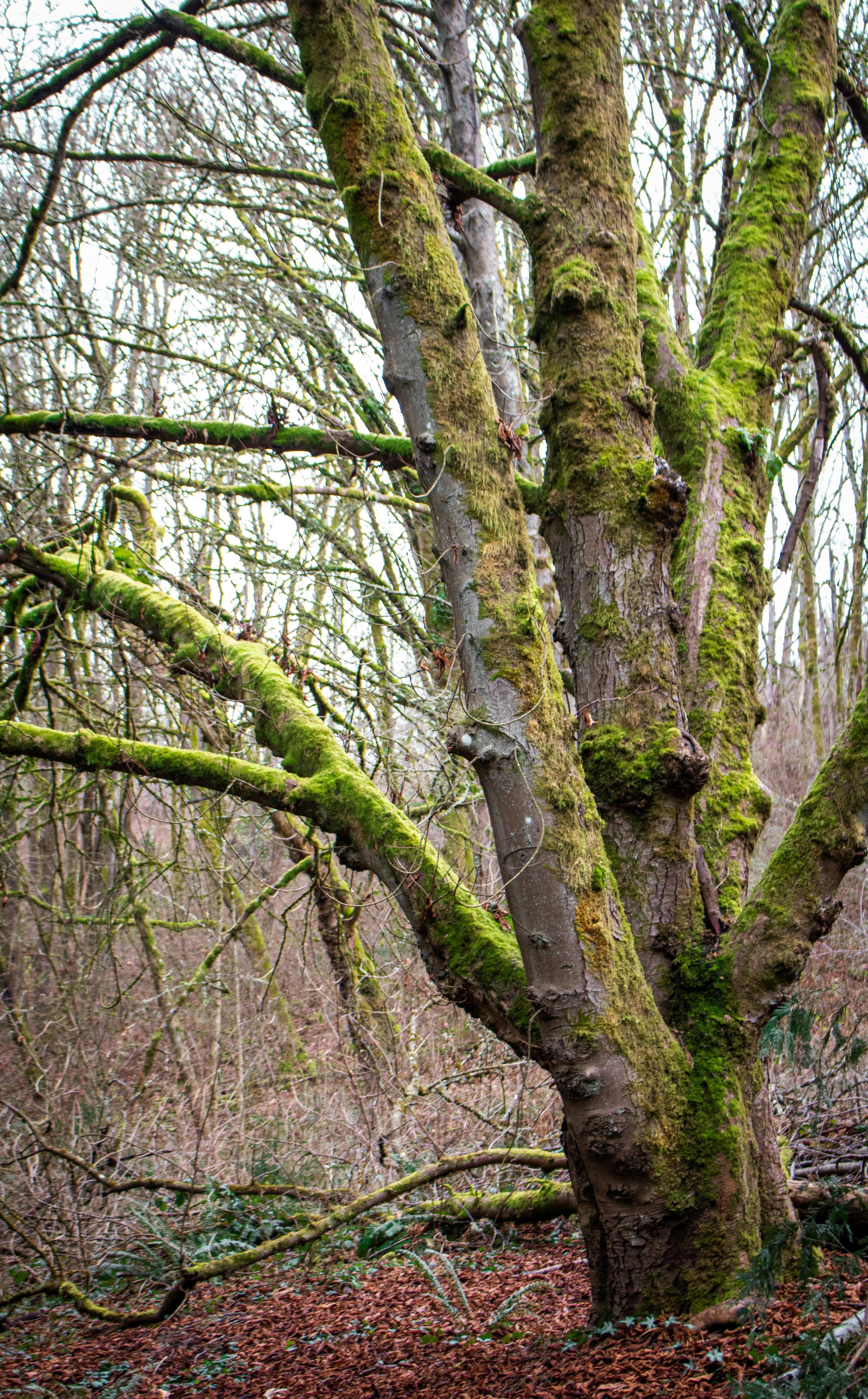 Photo by zoshuacolah