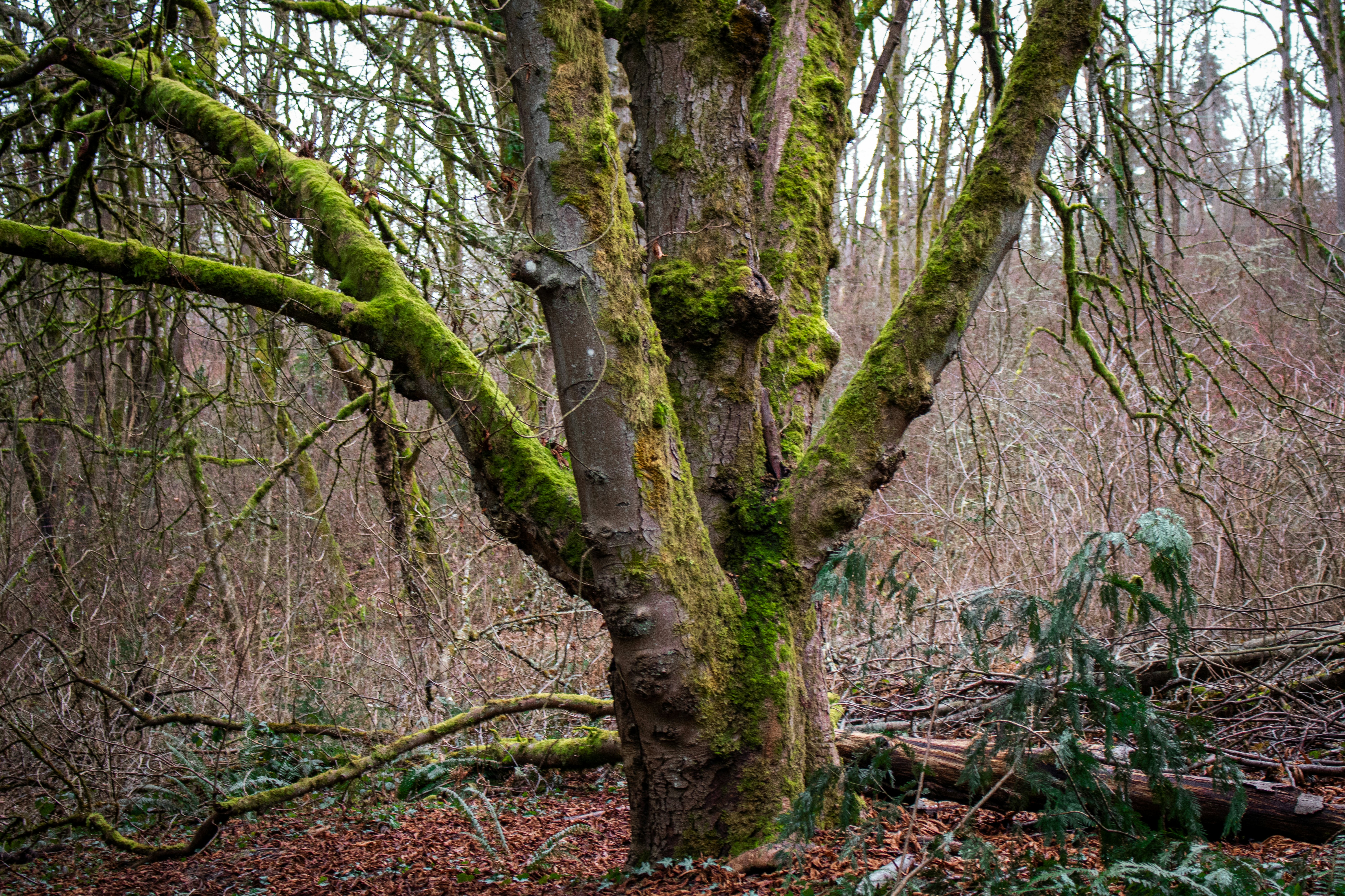 Photo by zoshuacolah