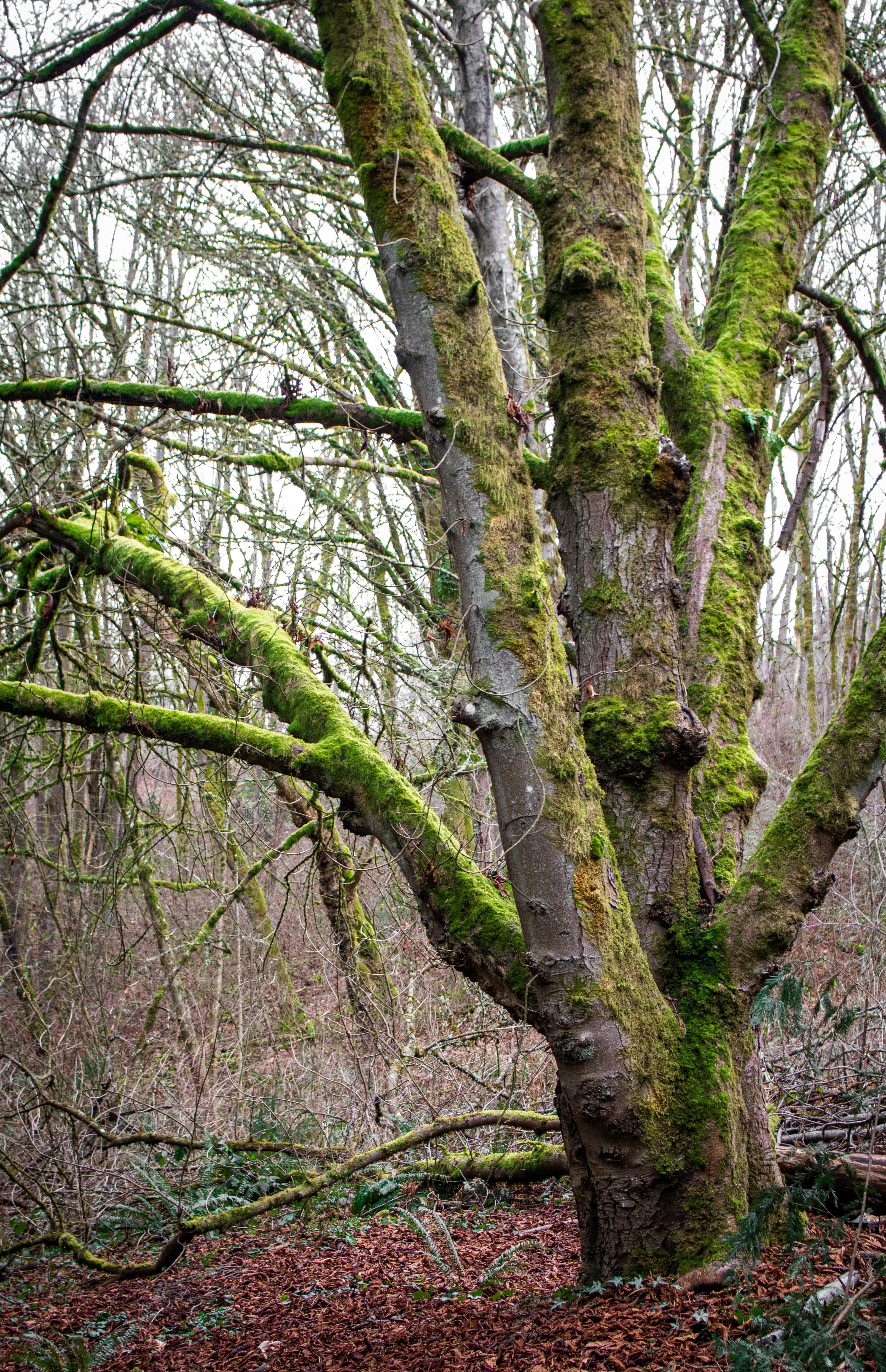 Photo by zoshuacolah