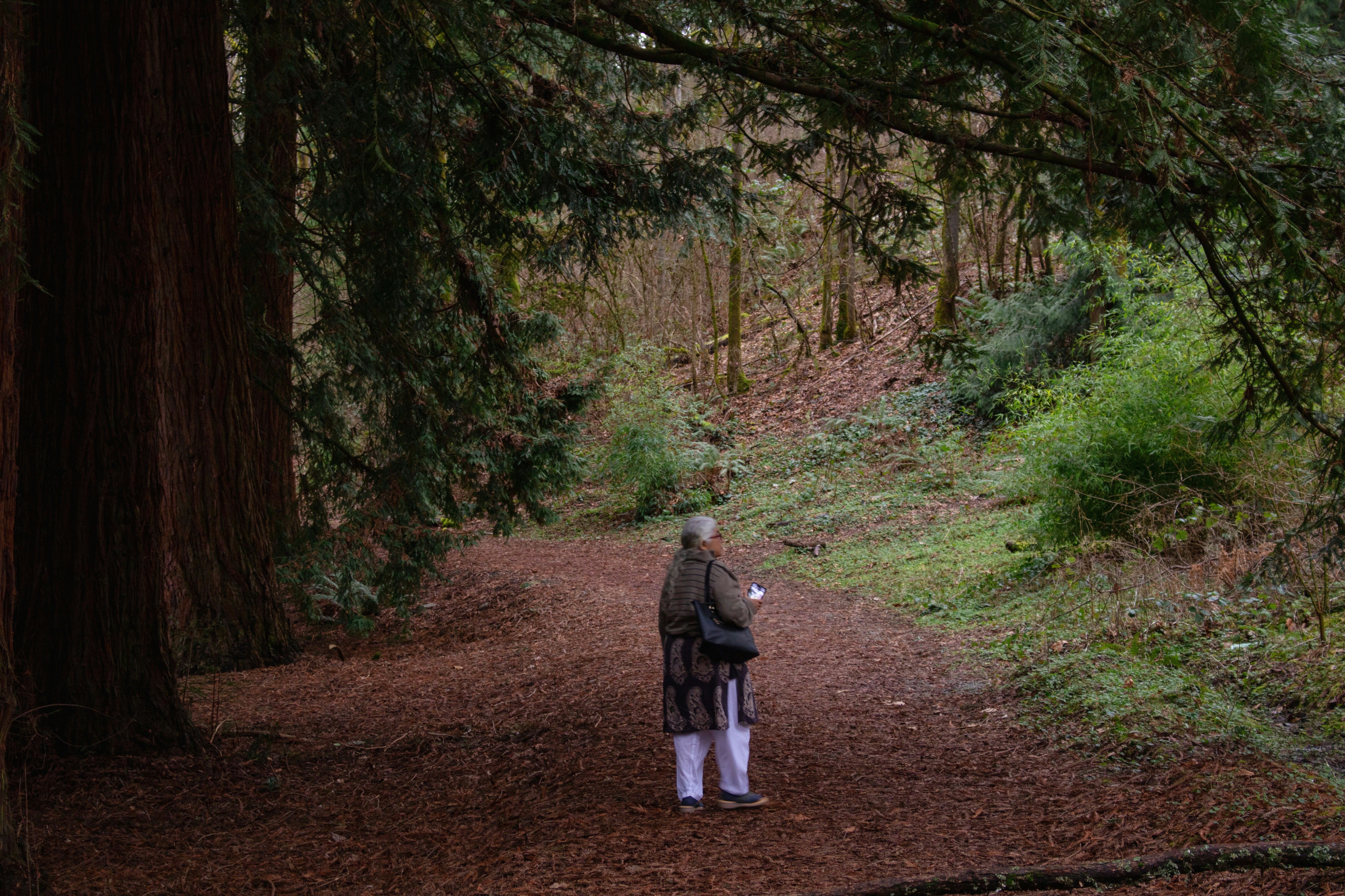 Photo by zoshuacolah