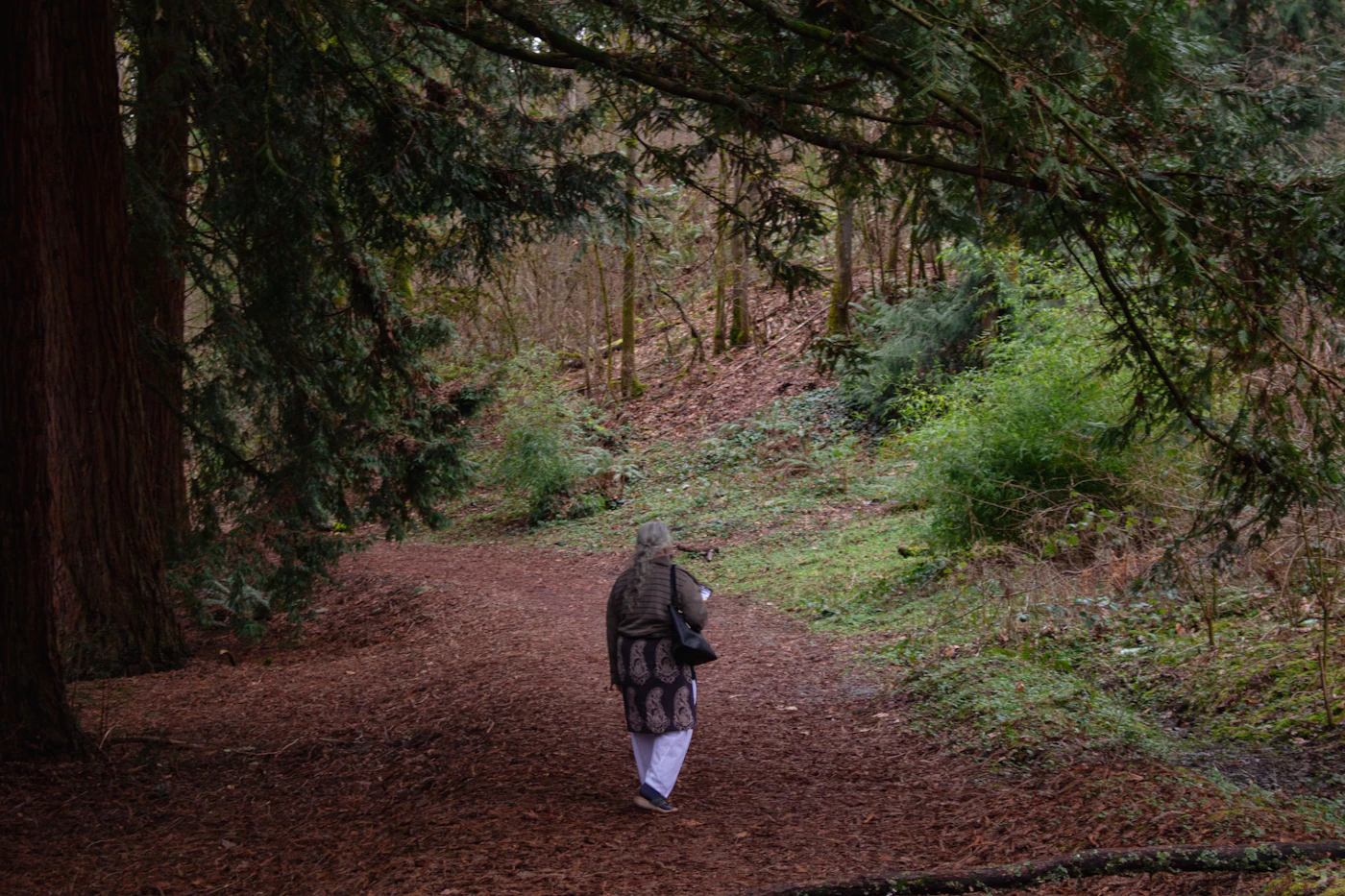 Person geht allein auf einem Waldweg als Symbol für sicheren Abstand bei Wut nach dem Rauchstopp