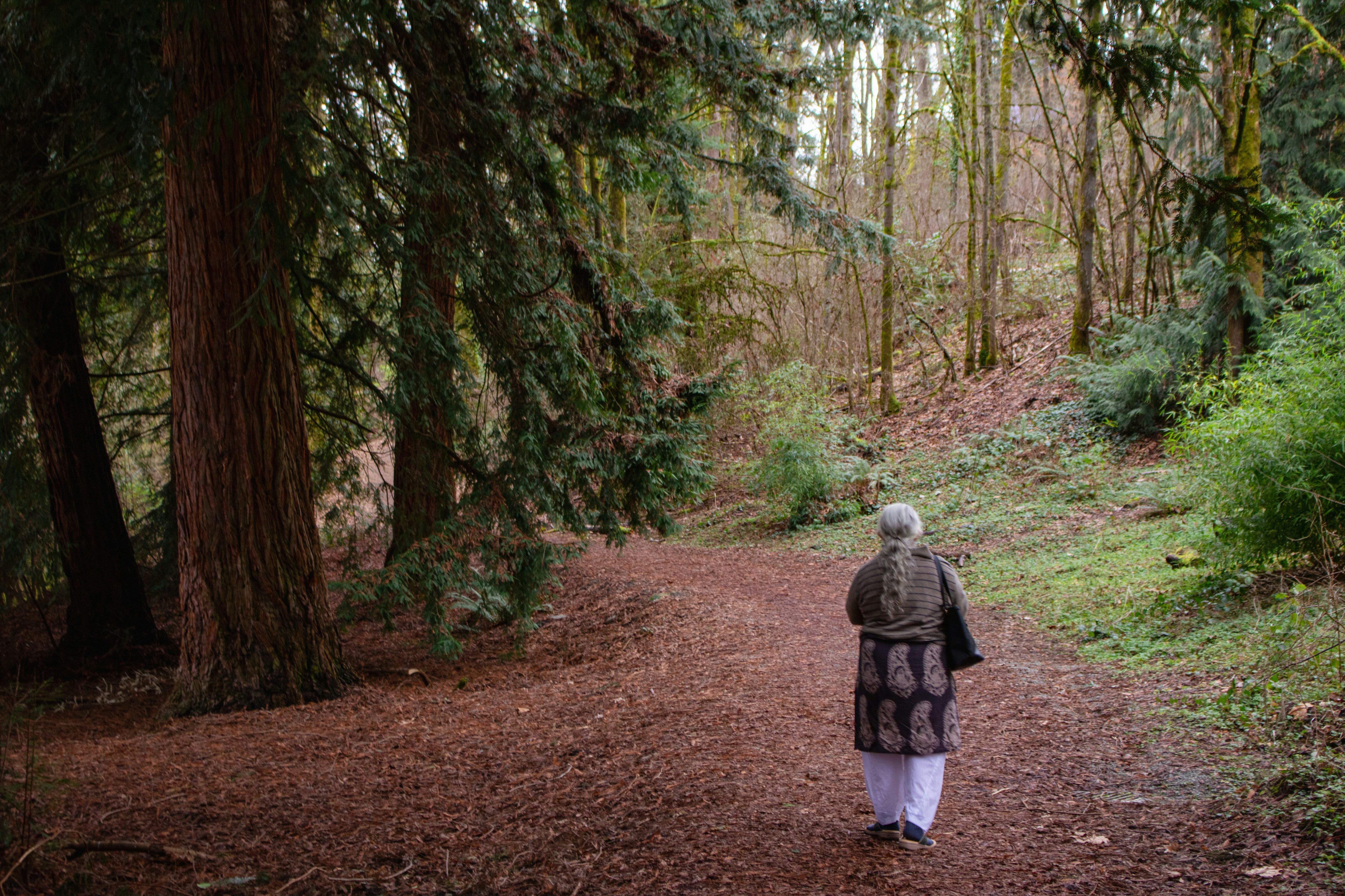 Photo by zoshuacolah