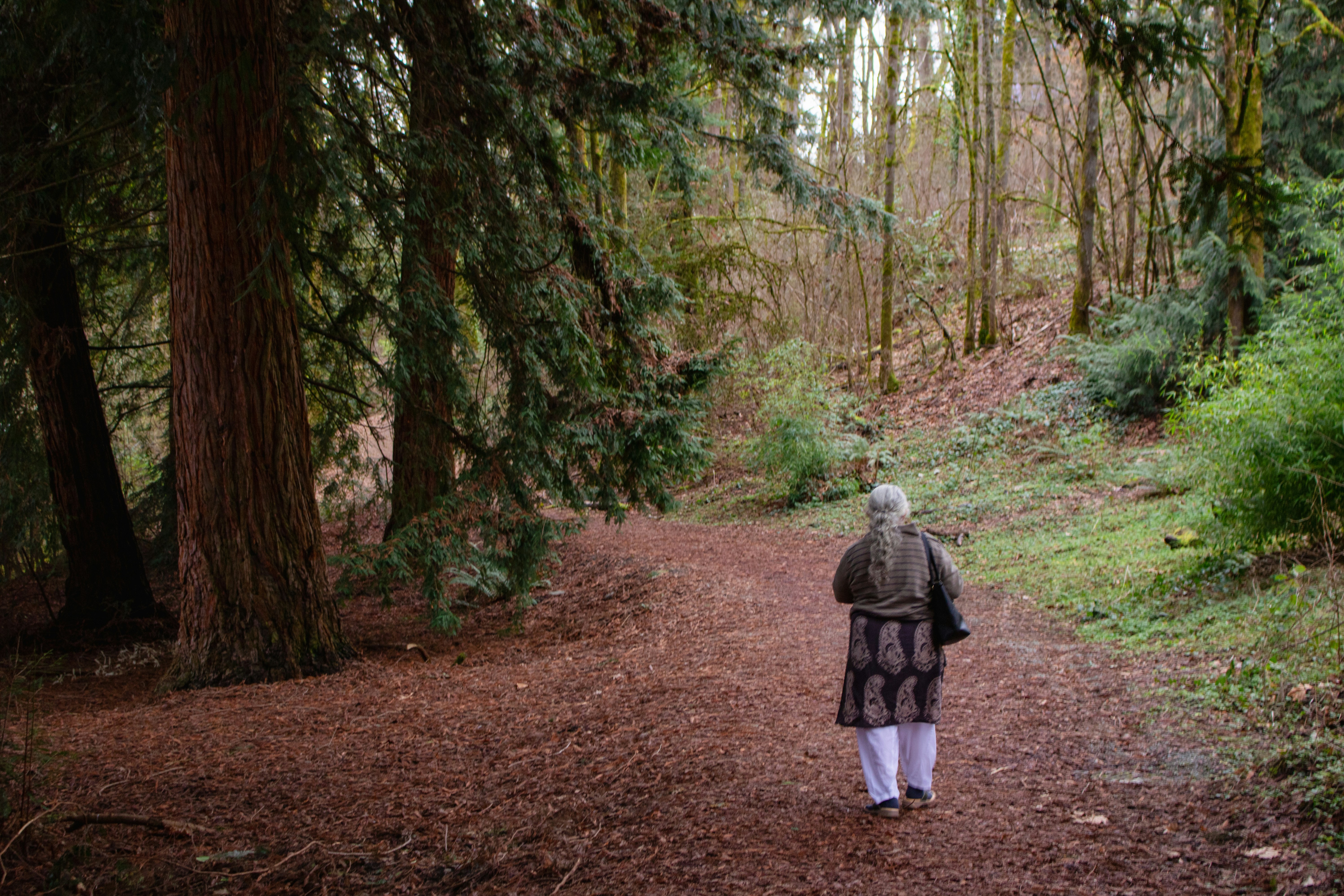 Photo by zoshuacolah