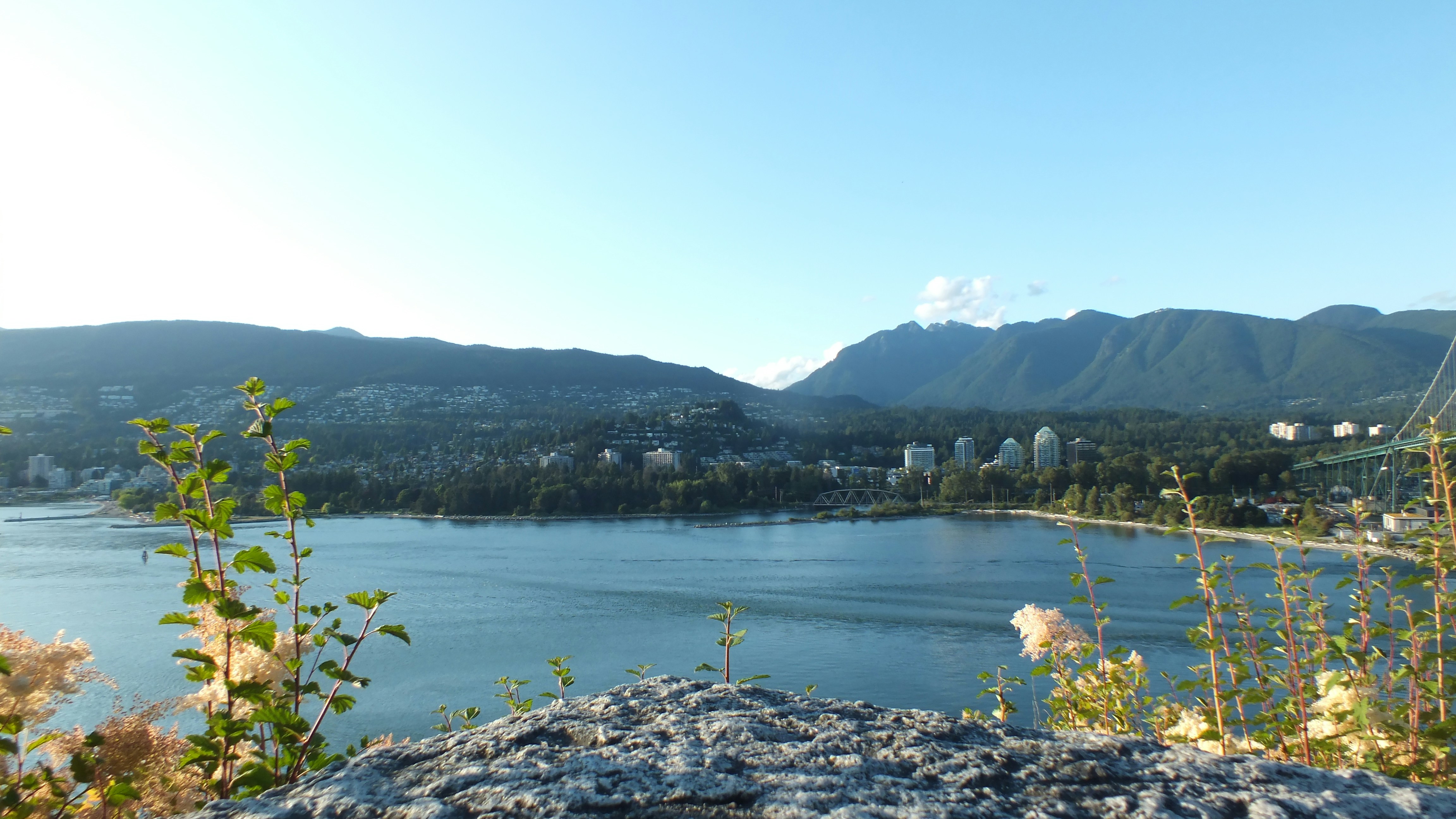 Photo by dylanrichard