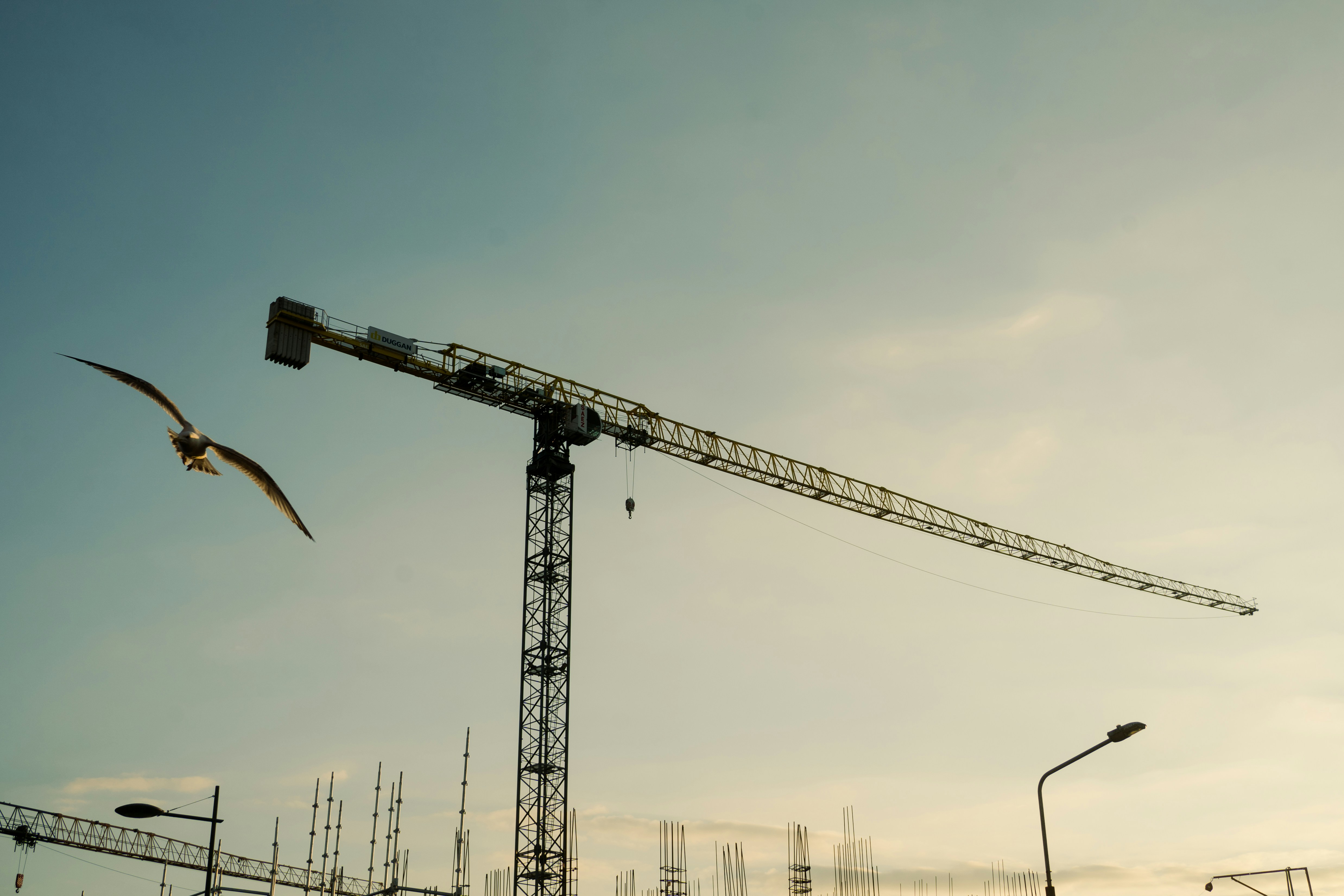 Photo by rogernobles