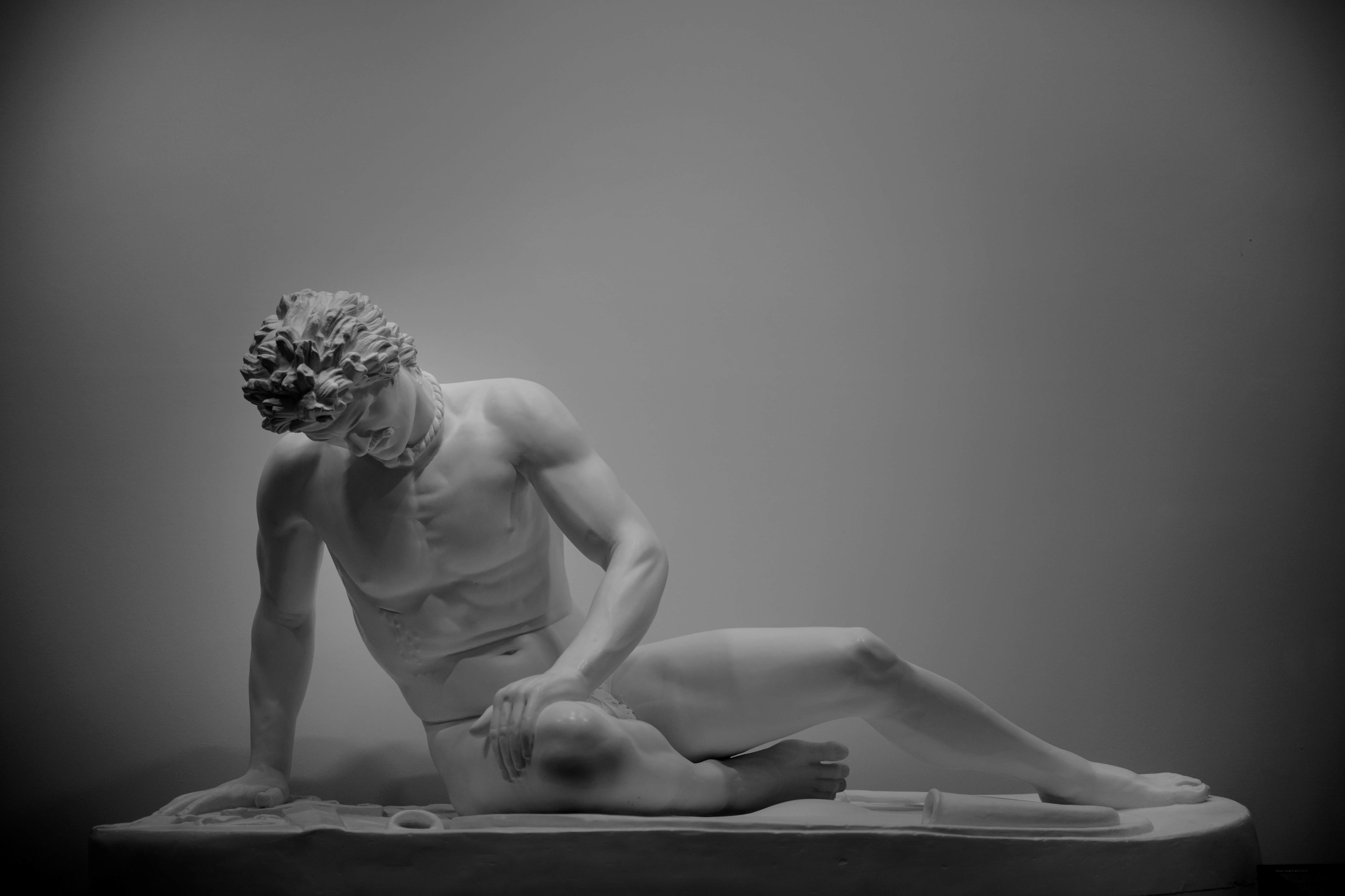 Photo by rogernobles