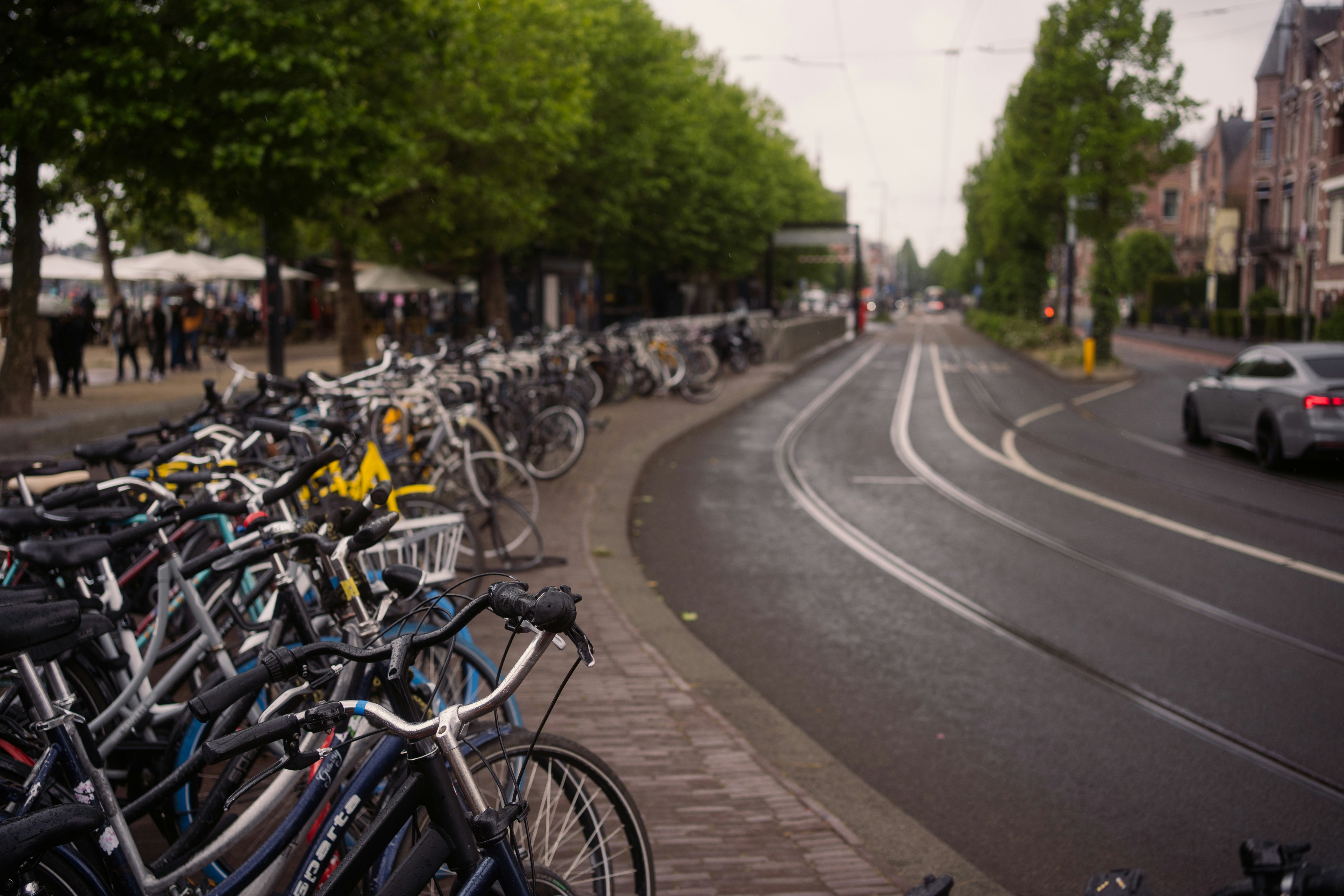 Photo by rogernobles